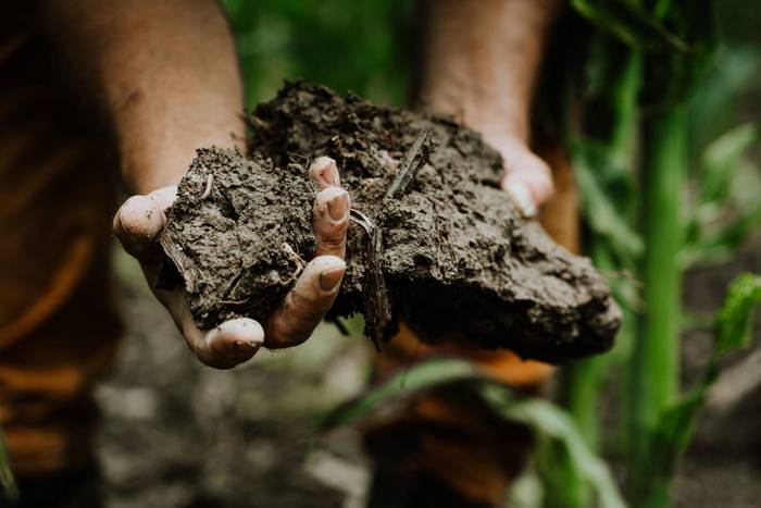 Improved Agricultural Land Management - Europe 1