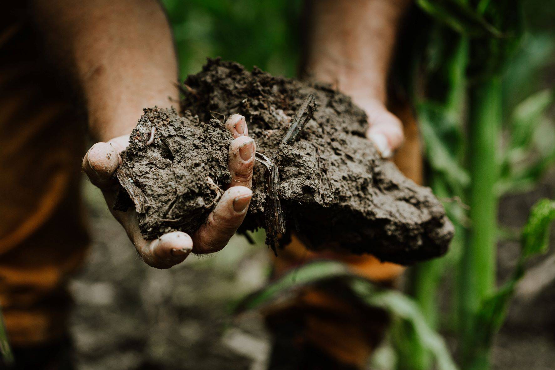 Improved Agricultural Land Management - Europe 1