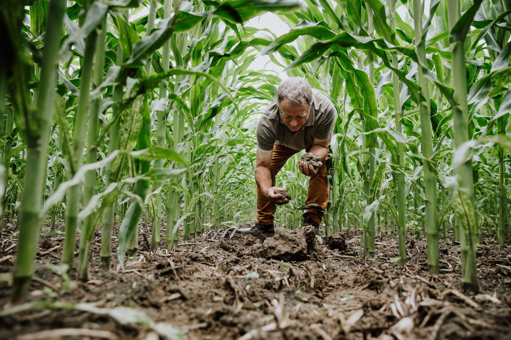 Improved Agricultural Land Management - Europe 2