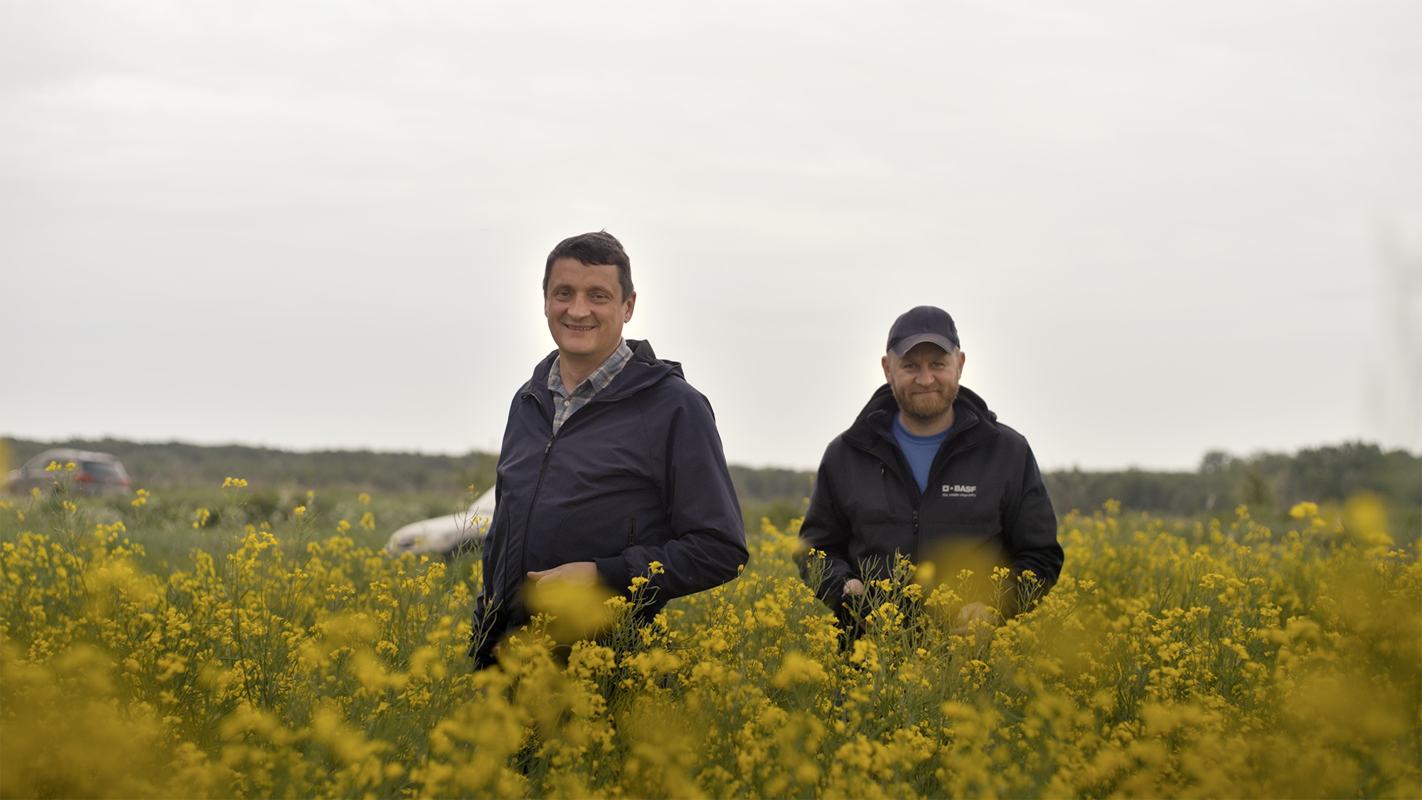 Two men standing in a field of yellow flowers, wearing jackets, one with a cap. Overcast sky and cars in the background.