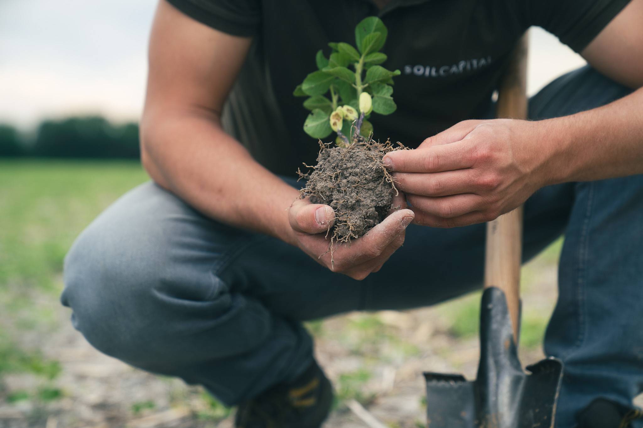 Improved Agricultural Land Management - Europe 3