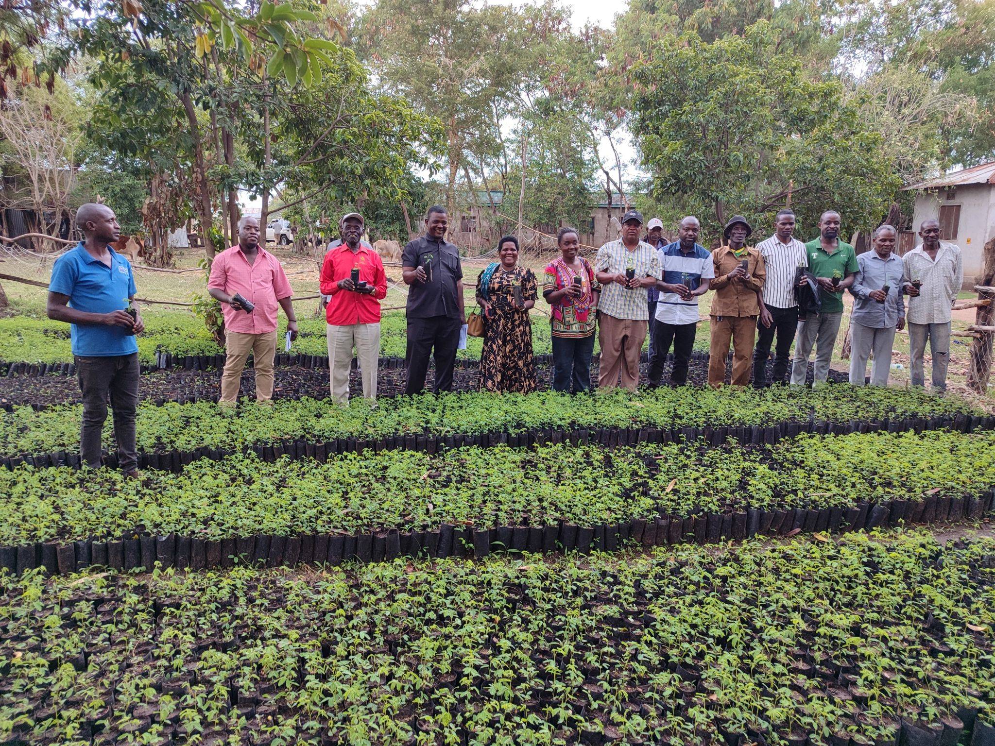 A group of people stand in a tree nursery holding seedlings, surrounded by rows of small plants, with trees and buildings in the background.