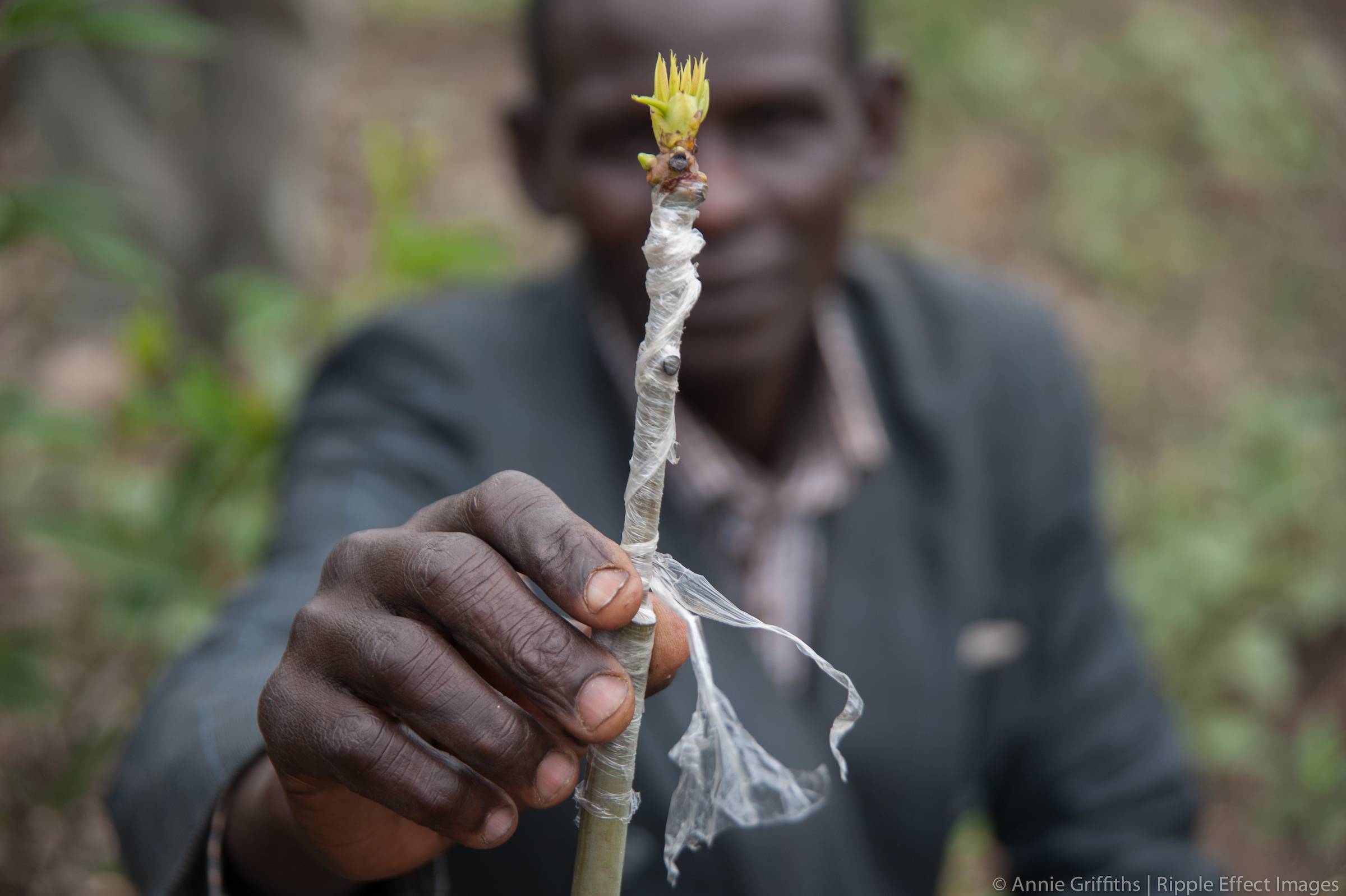 kenya-10