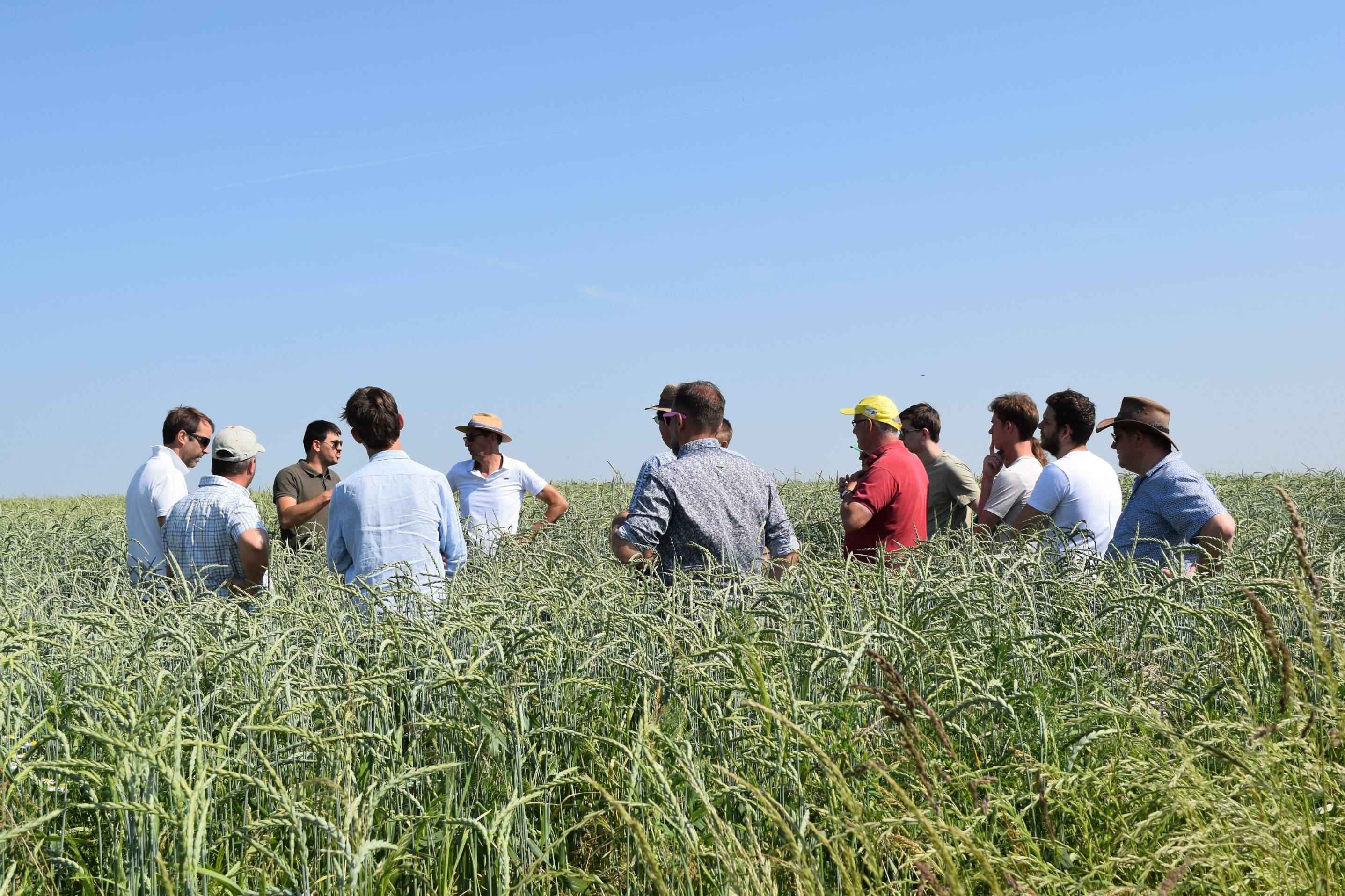 Improved Agricultural Land Management - Europe 11