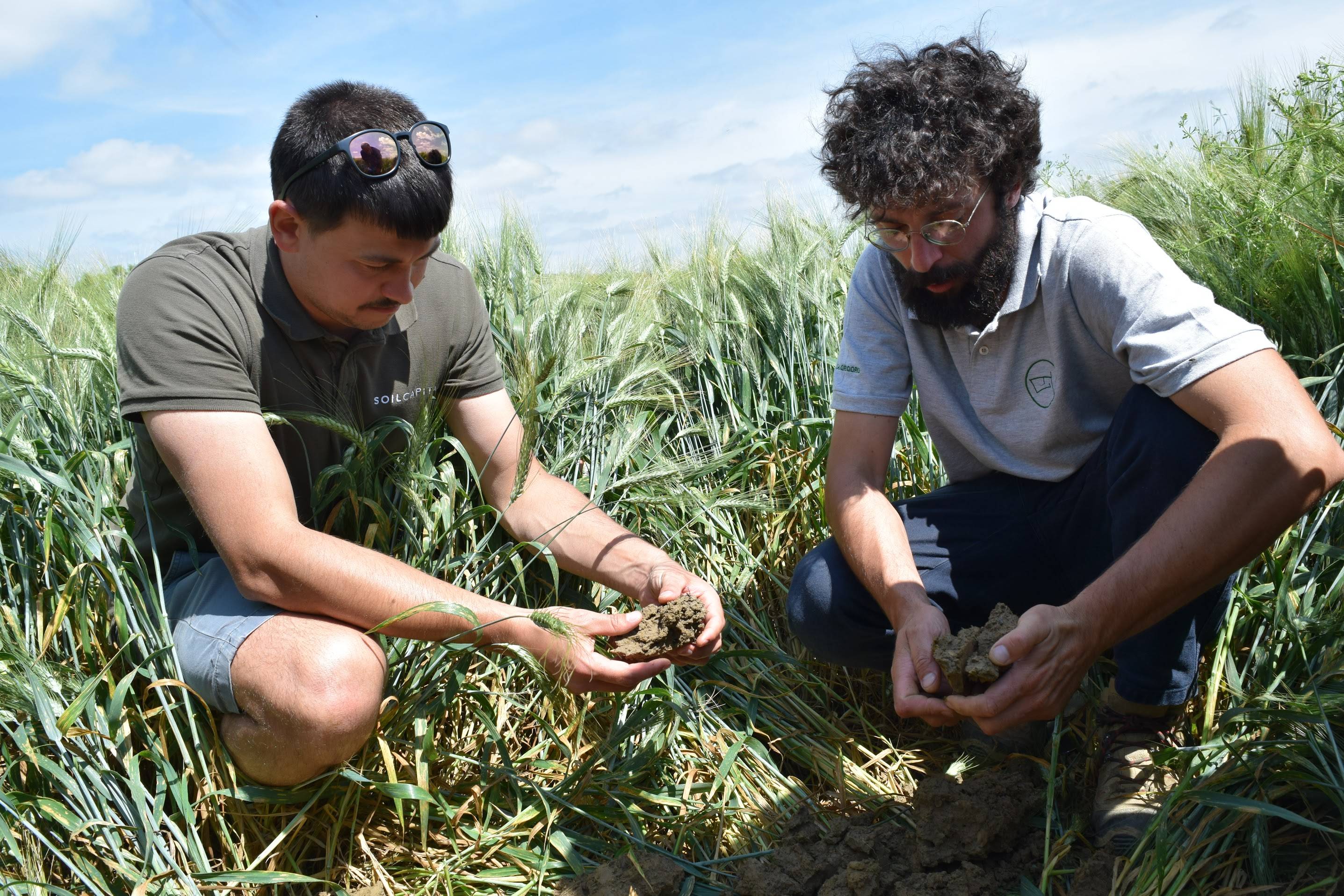 Improved Agricultural Land Management - Europe 6
