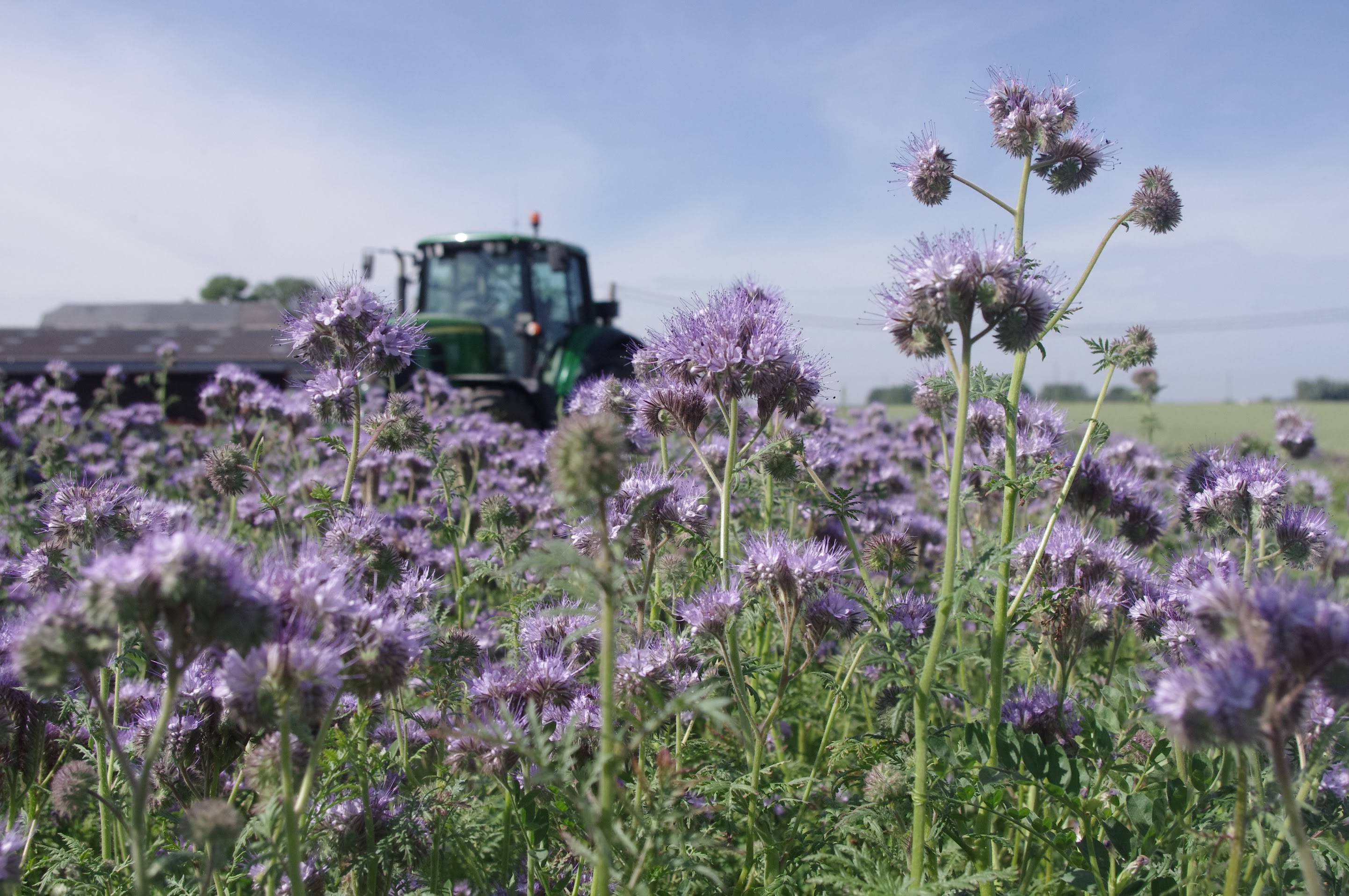 Improved Agricultural Land Management - Europe 8