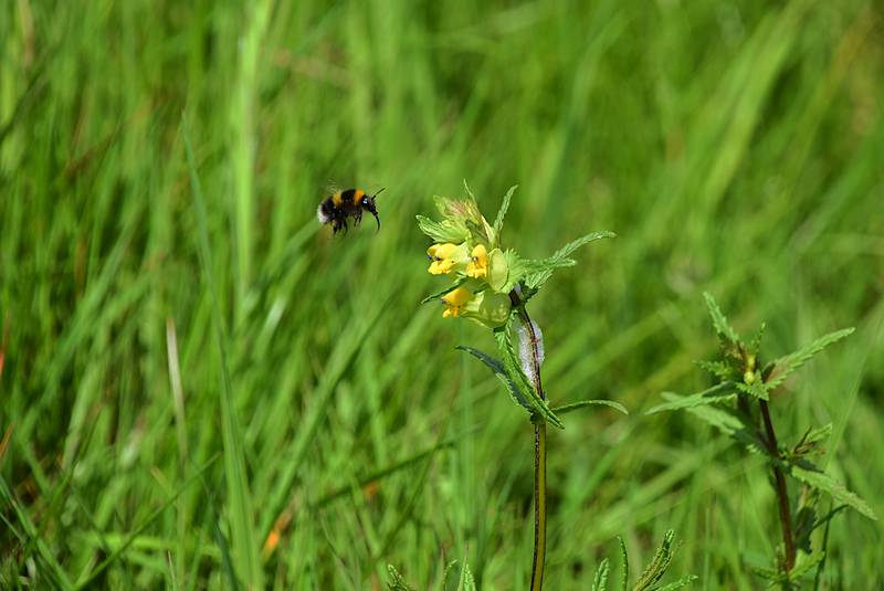 Social value solutions for UK Tenders