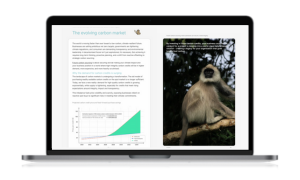 thumbnail of the future carbon sourcing ebook on a laptop screen