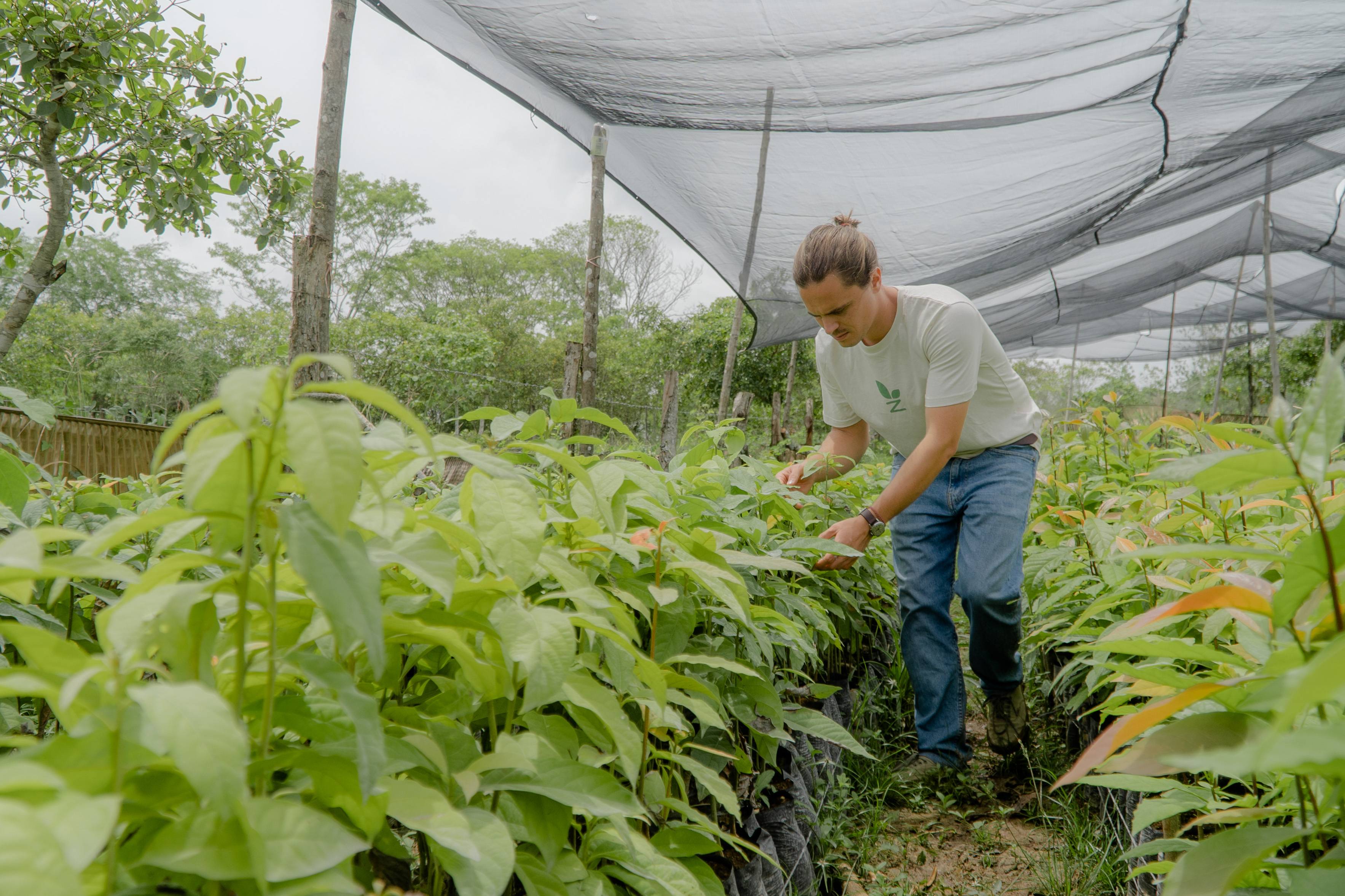 A person tends to young plants under a mesh canopy in a garden, surrounded by lush greenery on a cloudy day.