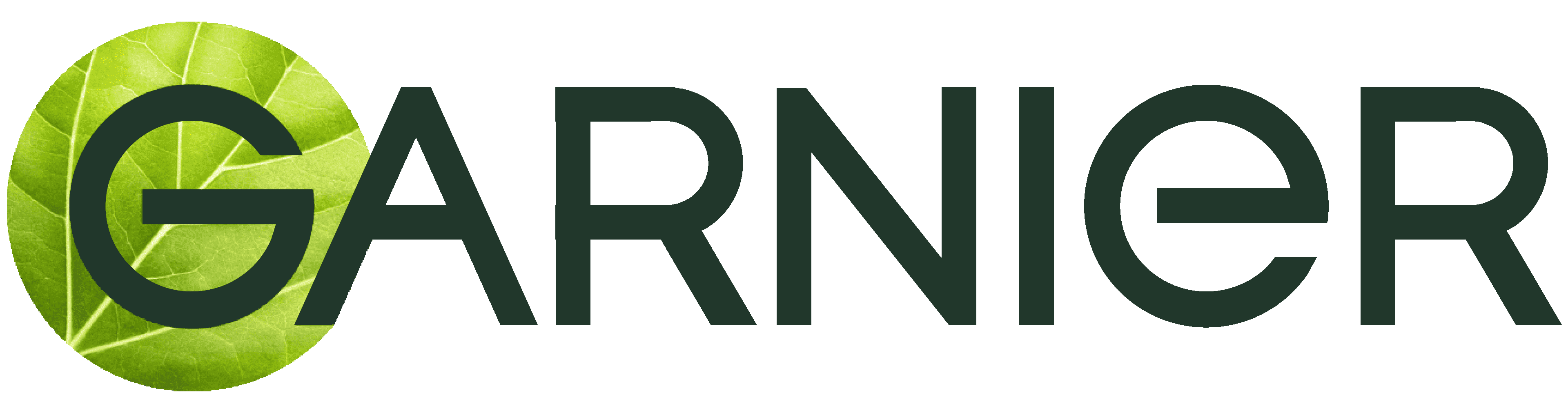 Garnier logo with a green leaf design inside the letter "G" on a transparent background.