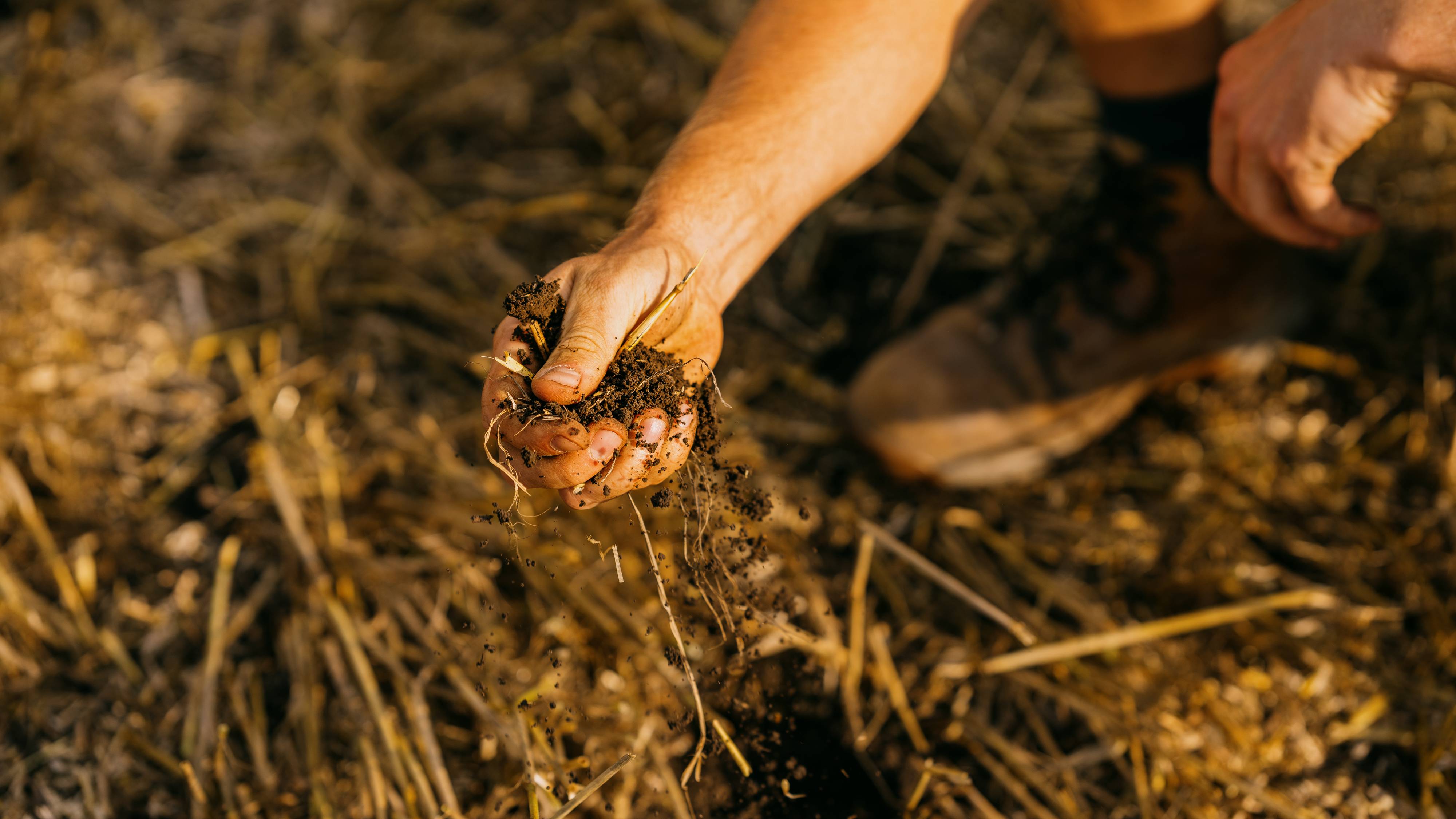 Hand holding soil and organic matter over dry straw, symbolizing agriculture and earth care.