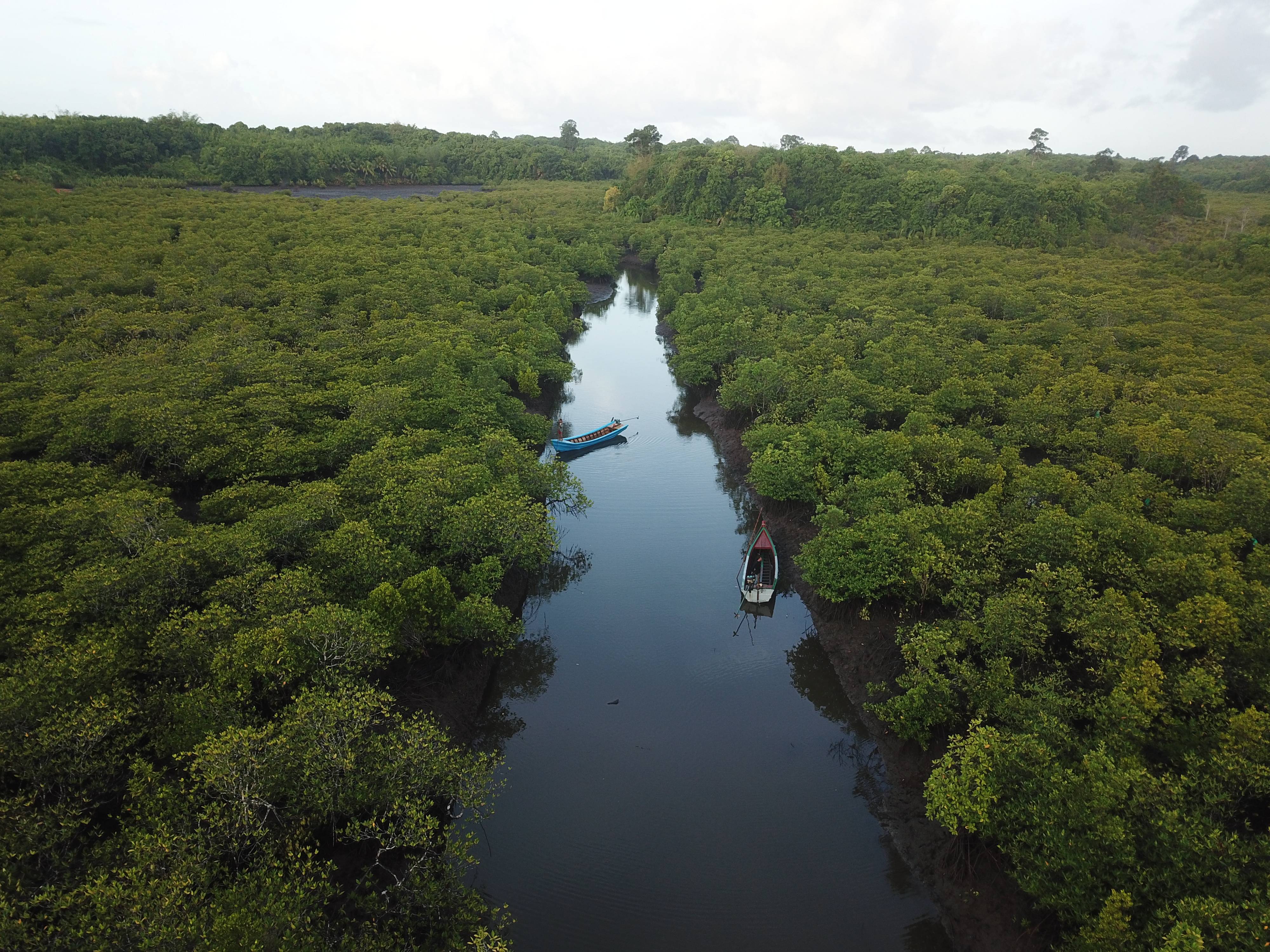 Aerial view of a narrow river surrounded by dense mangrove forest, with two small boats floating on the water.