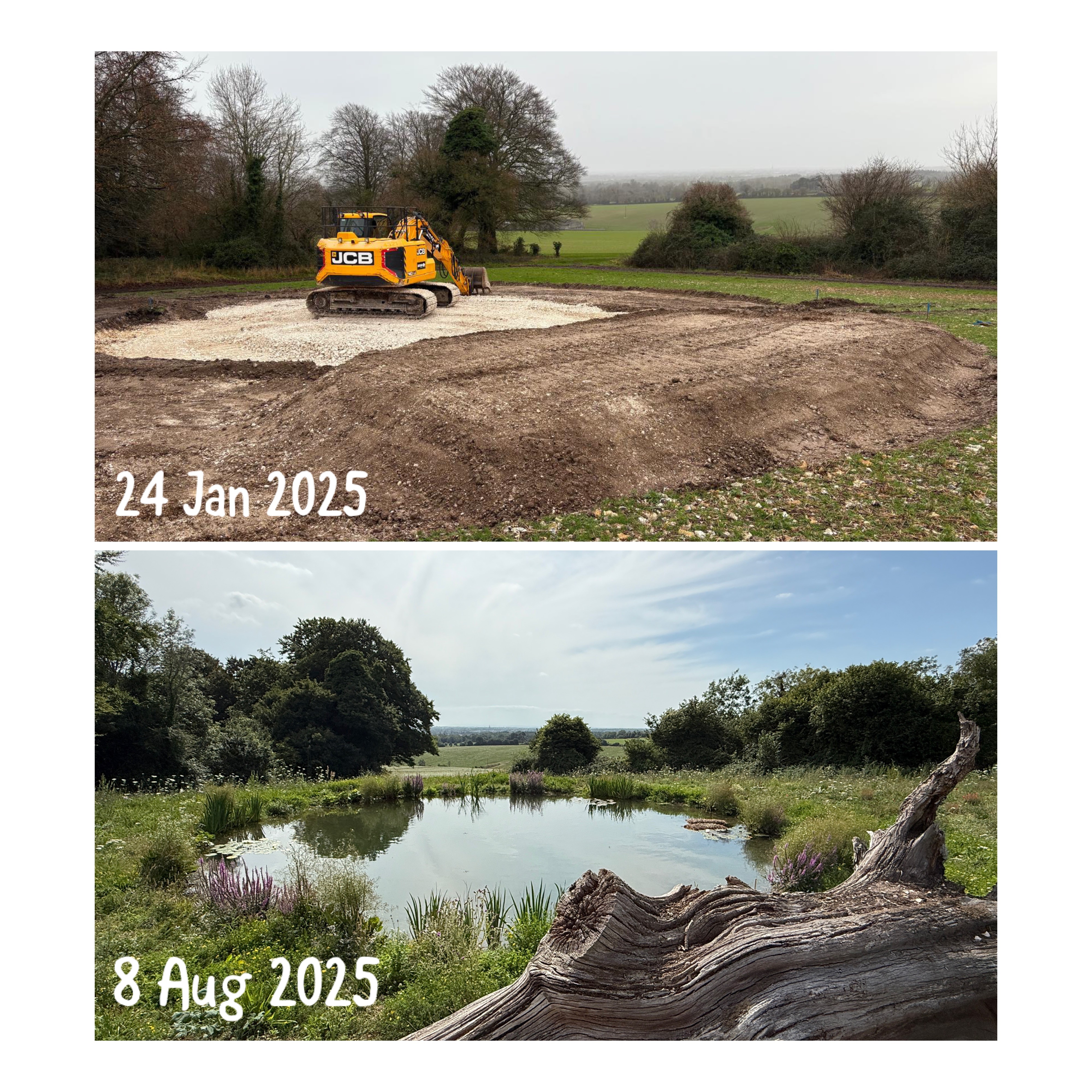 Top: Bulldozer clearing land on 24 Jan 2025. Bottom: Lush pond with plants and a log on 8 Aug 2025, surrounded by greenery.