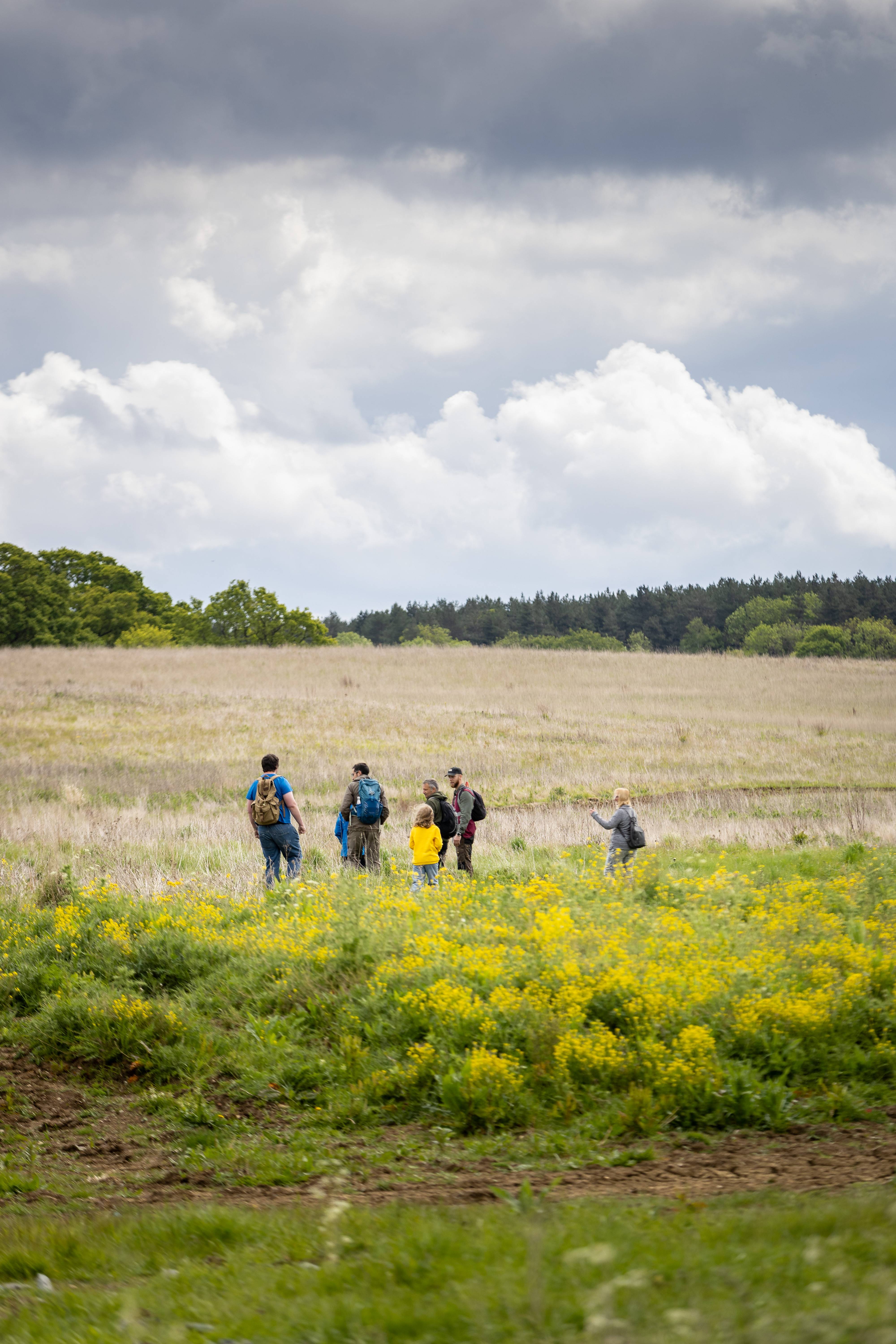 A group of people with backpacks walk through a grassy field with yellow flowers under a cloudy sky.