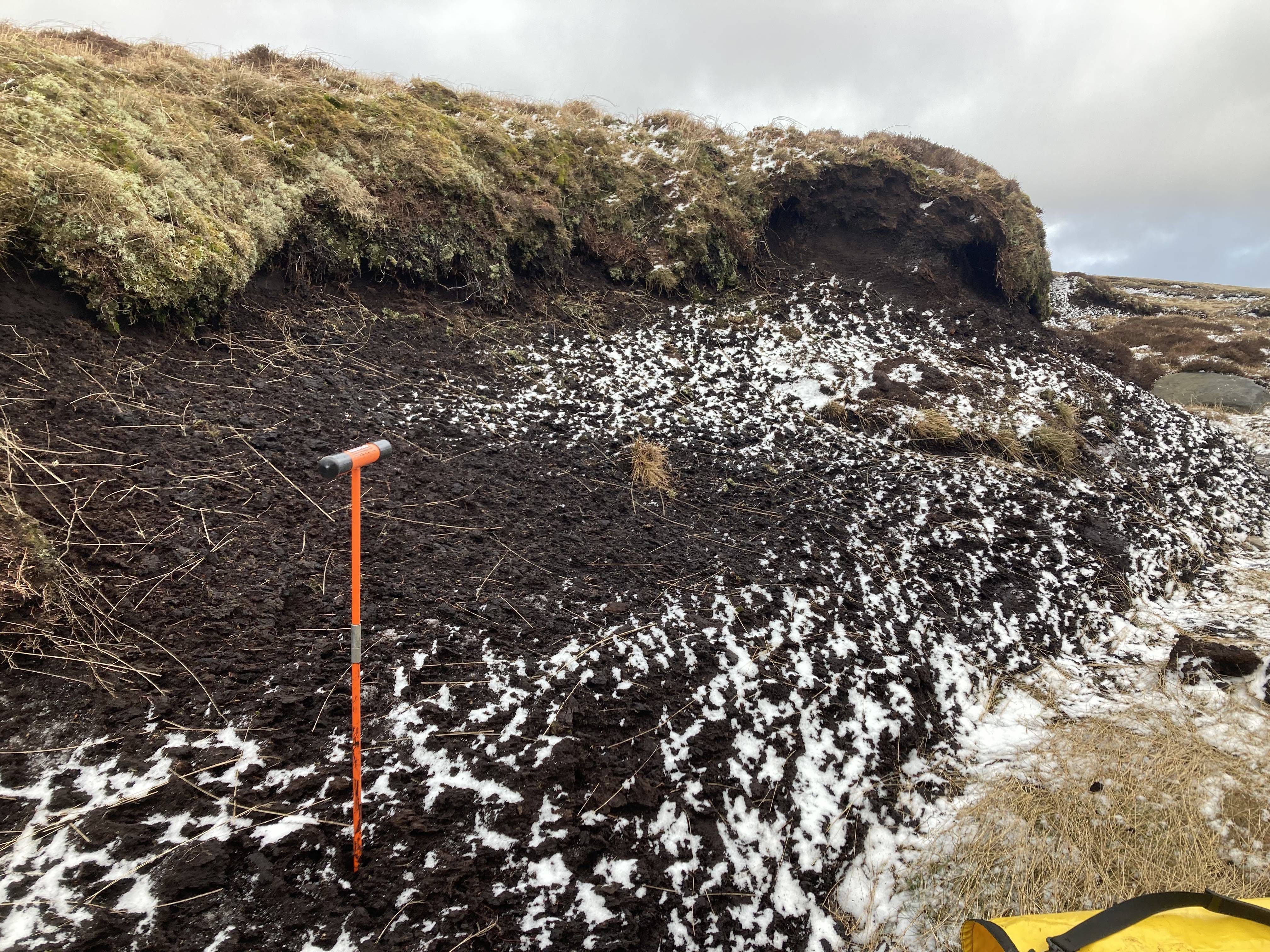 Exposed peatland with patches of snow, a measuring stick stands in the foreground, surrounded by grass and cloudy sky.