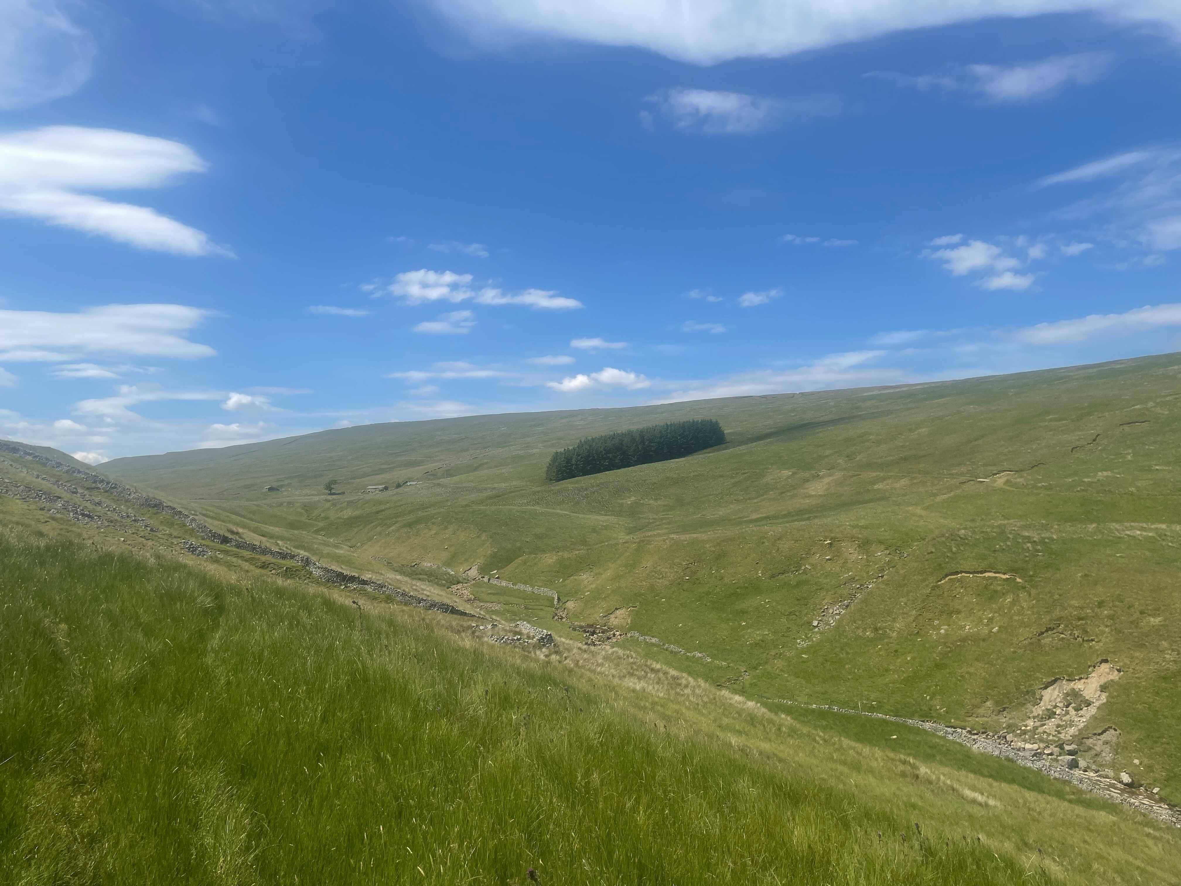 Rolling green hills under a blue sky with scattered clouds, featuring a small cluster of trees in the distance.