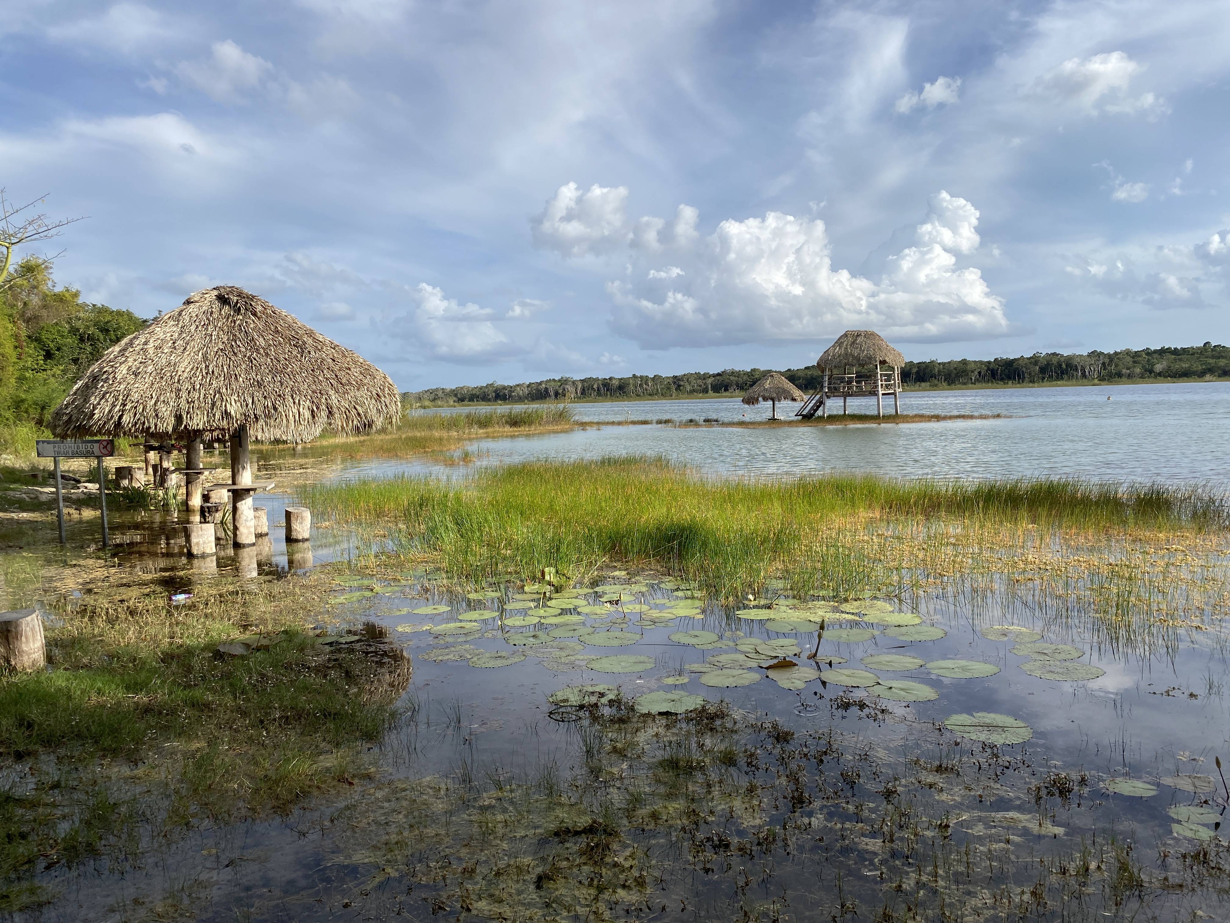 Lakeside view with thatched huts, lily pads, and grassy shoreline under a cloudy sky. A wooden platform extends into the water.