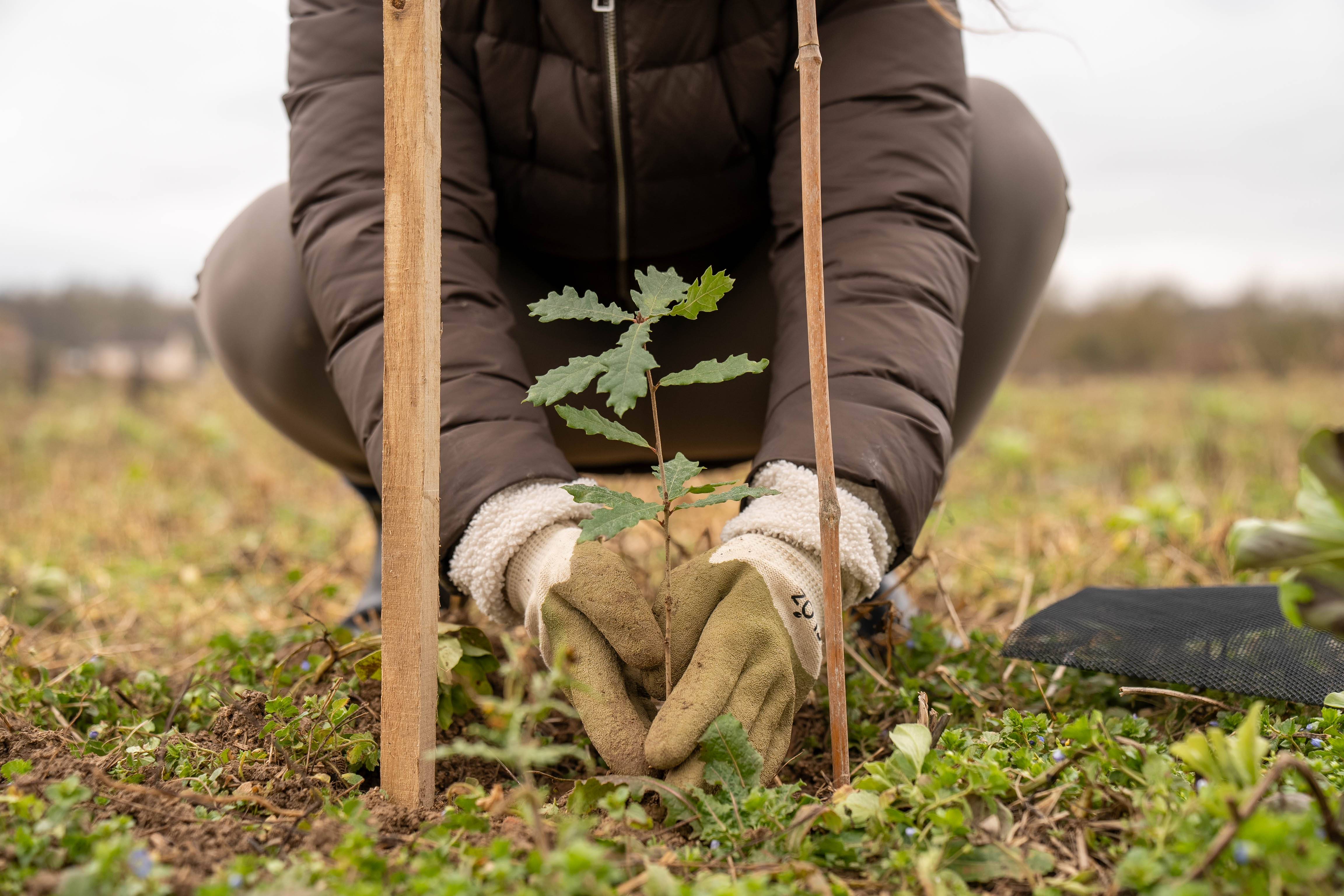 Improved Agricultural Land Management - Europe 16