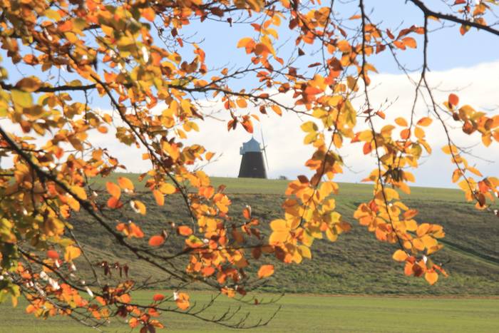 A distant windmill on a grassy hill is framed by branches with vivid orange and yellow autumn leaves under a blue sky.