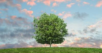 We’ve Been Selected for the PwC Net Zero Future50
