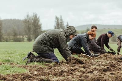 Scott Logic are pioneering nature investments in their net zero journey
