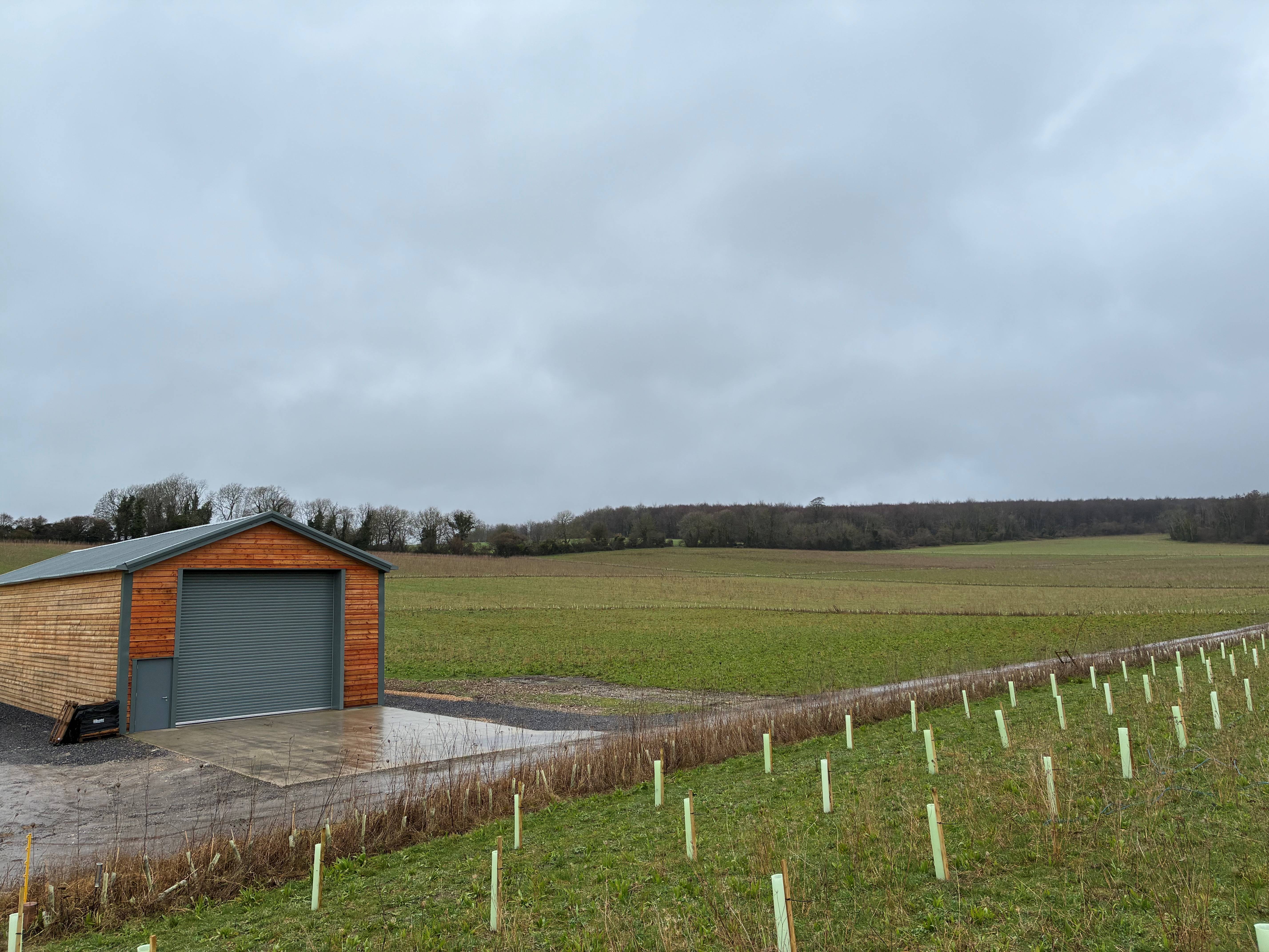 A wooden barn with a metal roof stands near a grassy field under an overcast sky, surrounded by rows of newly planted trees.