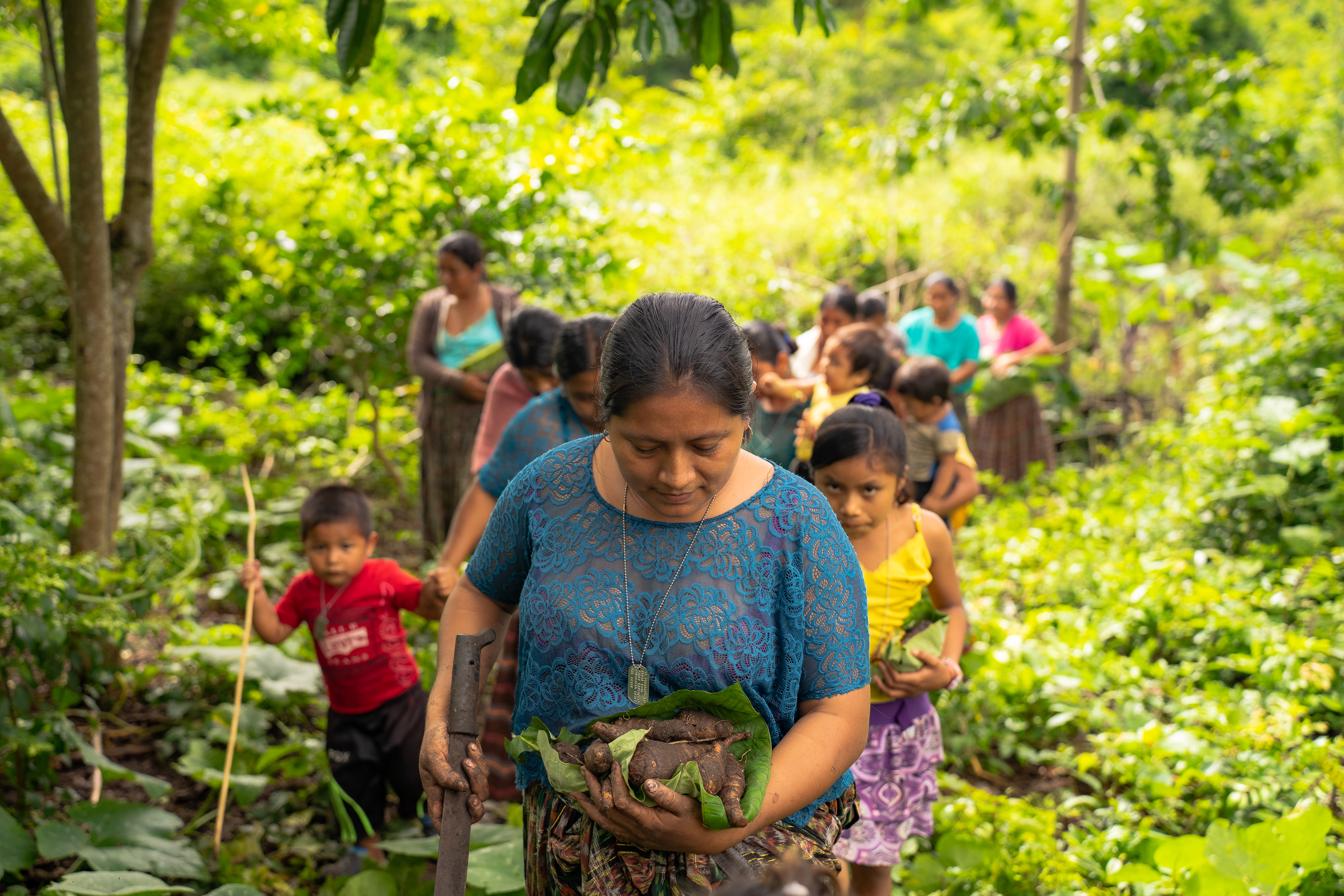 Reforestation - Petén, Guatemala - 6