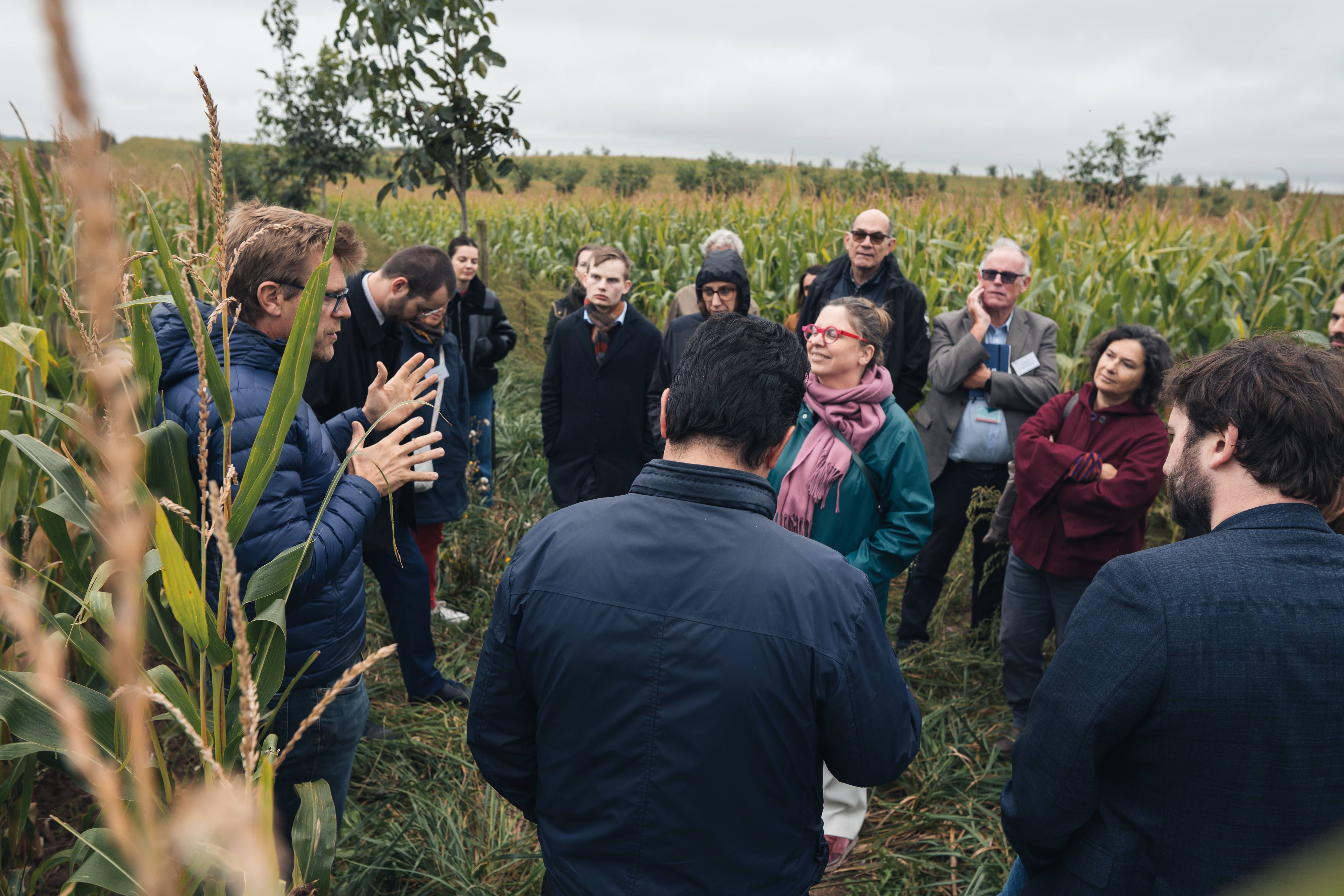 Improved Agricultural Land Management - Europe 13