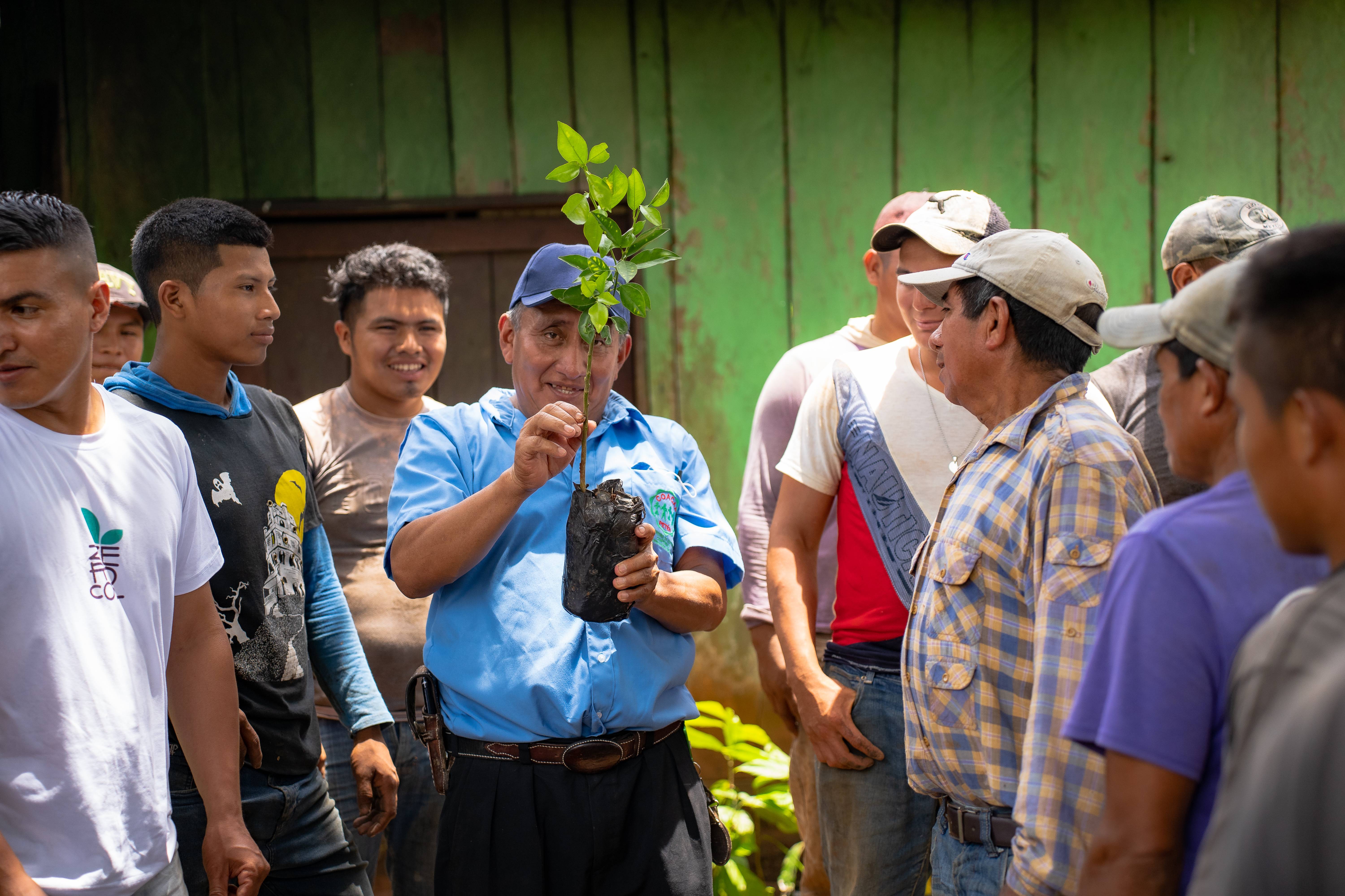 Reforestation - Petén, Guatemala - 4