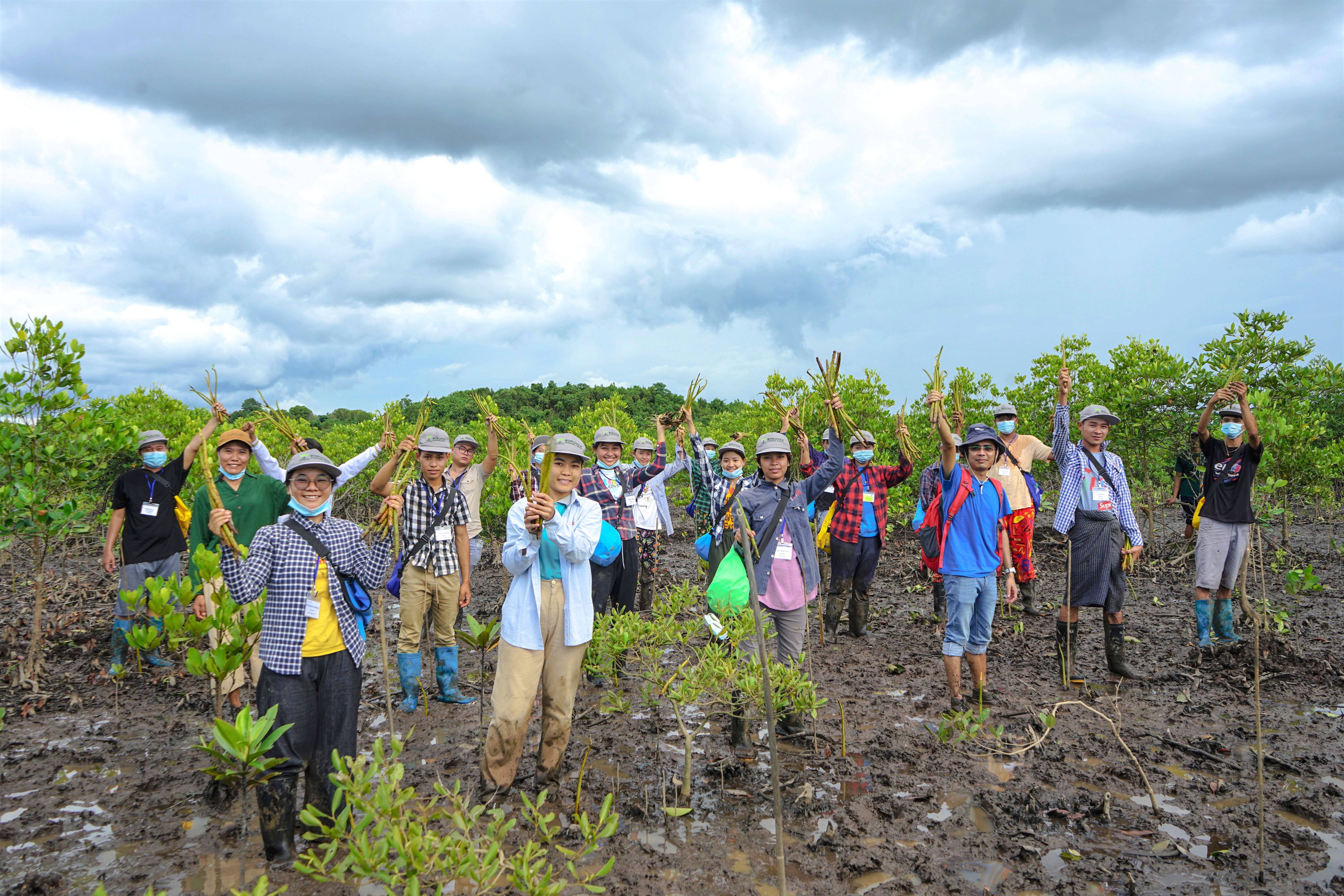 A group of people stand in a muddy area planting mangroves, holding young plants and wearing hats and boots, with a cloudy sky above.