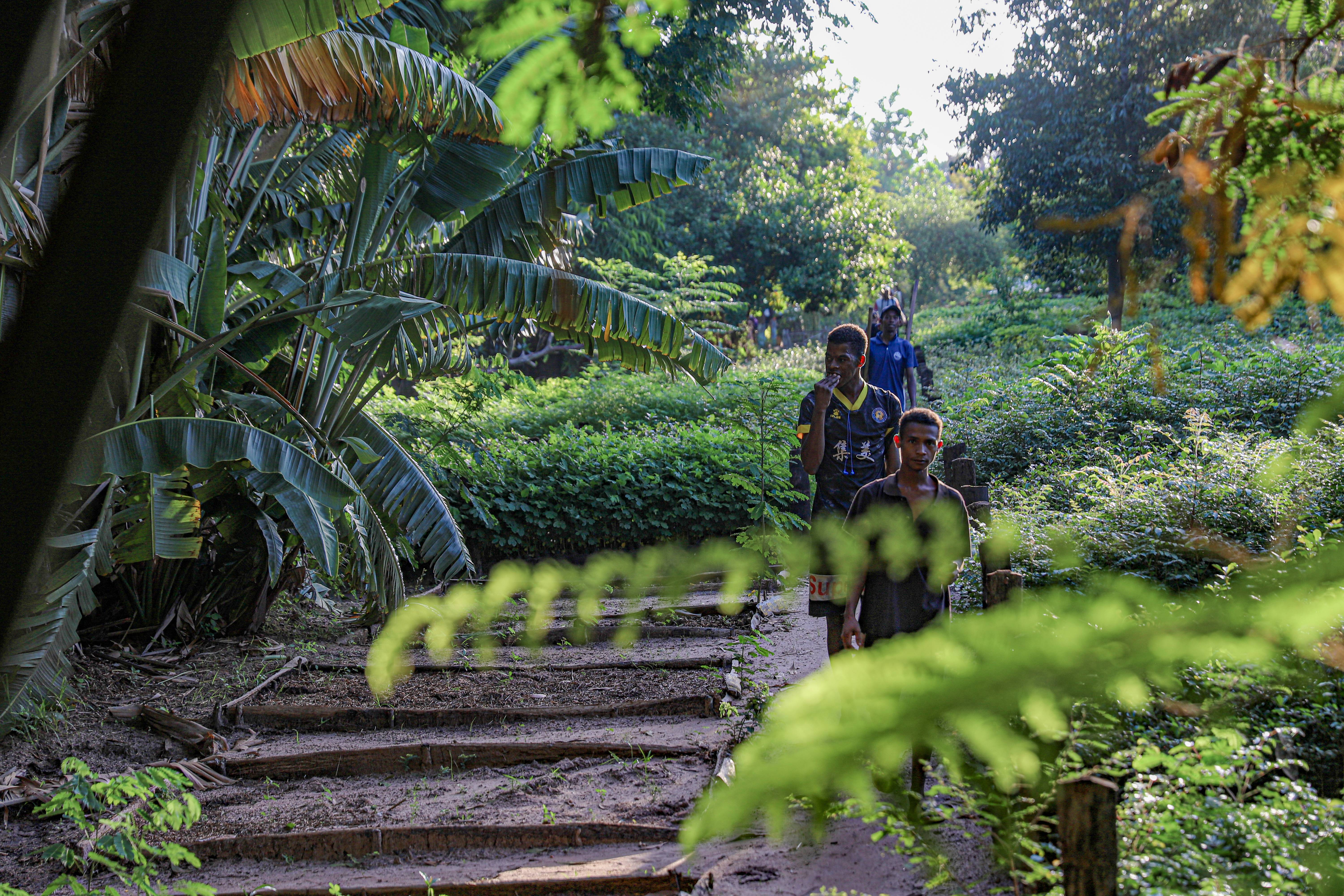Mangrove Regeneration - Maroalika, Madagascar people