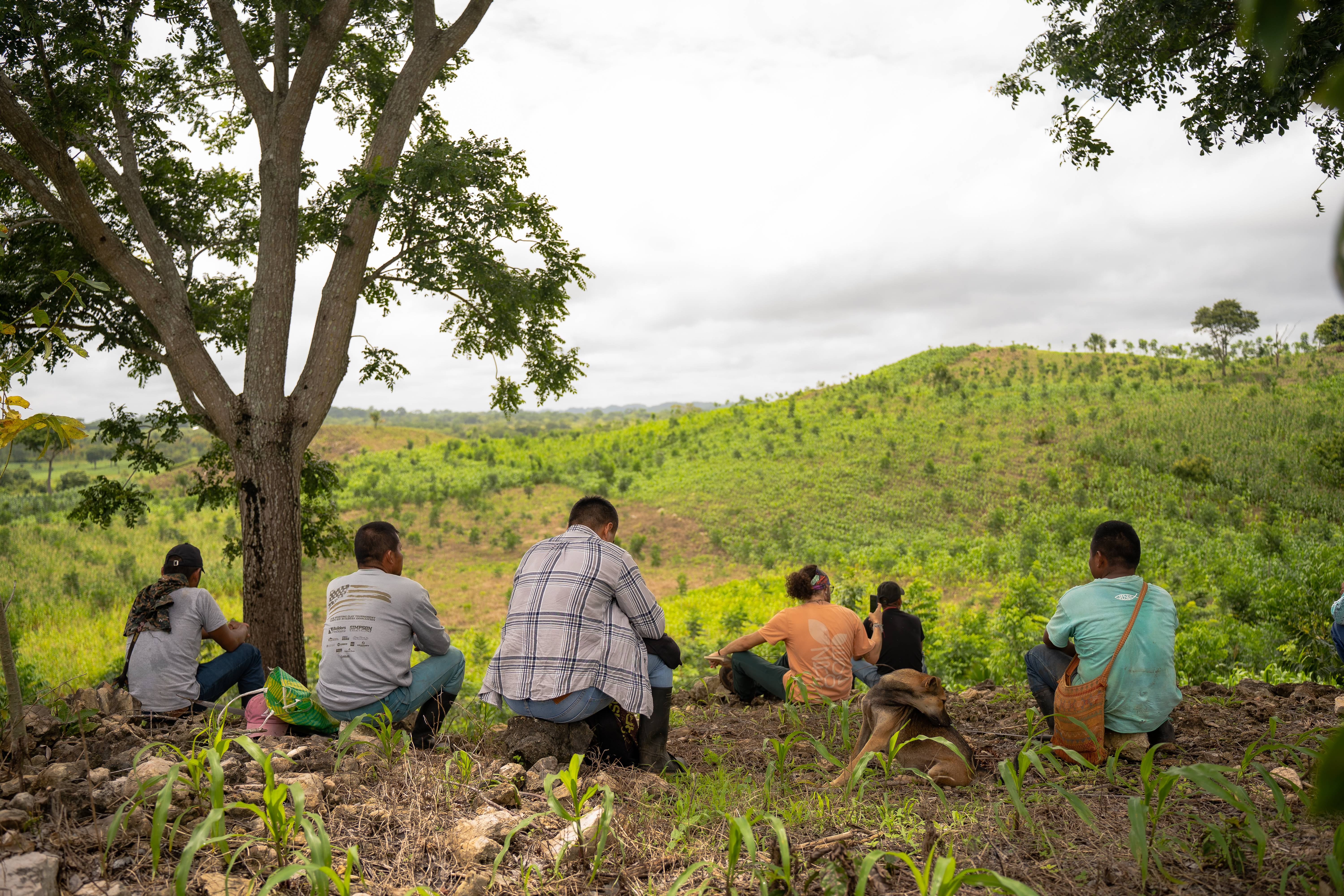Reforestation - Petén, Guatemala - 5