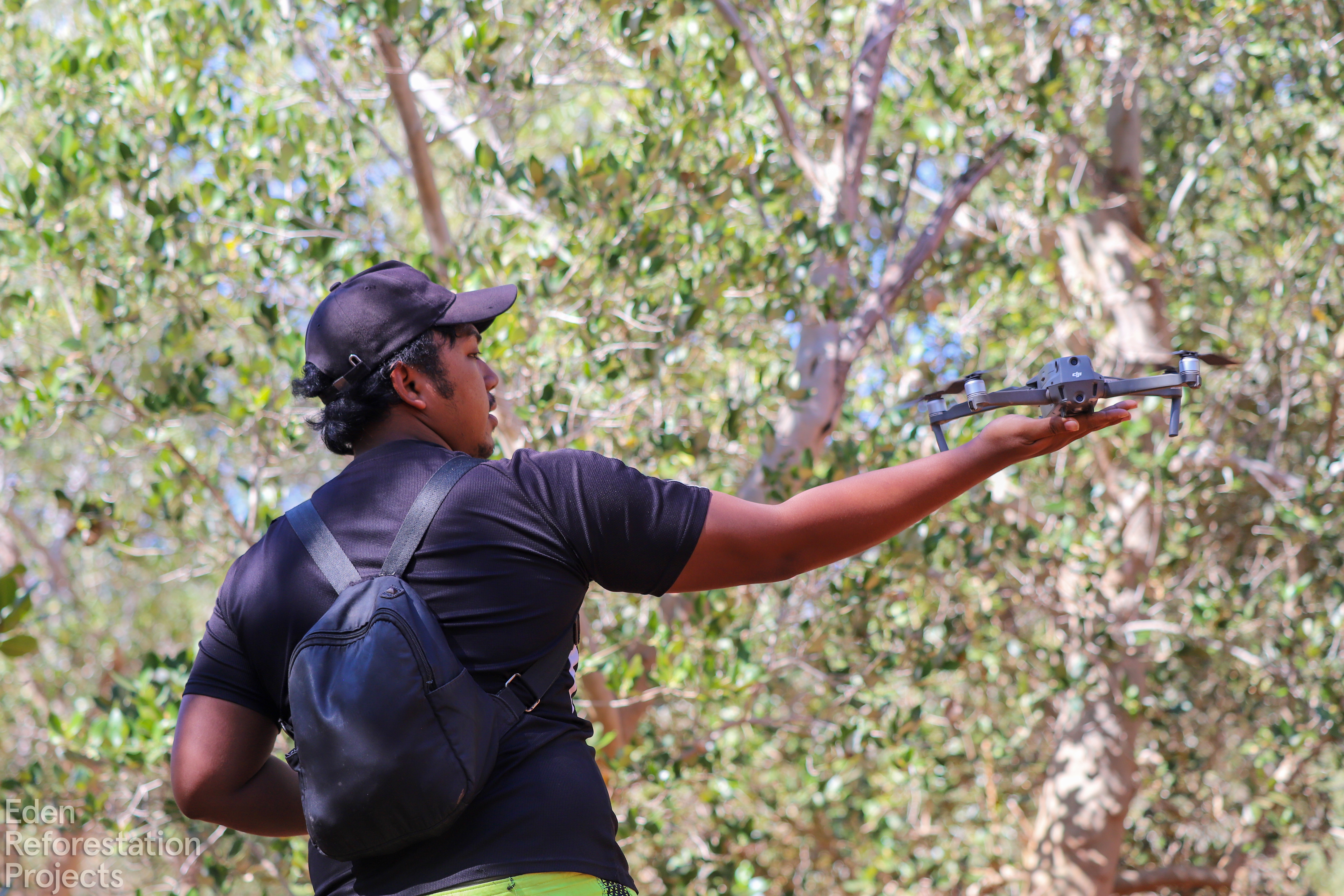 Mangrove Regeneration - Maroalika, Madagascar drone