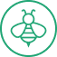 Green bee icon in a circular border, featuring a stylized bee with wings and striped body, set against a transparent background.