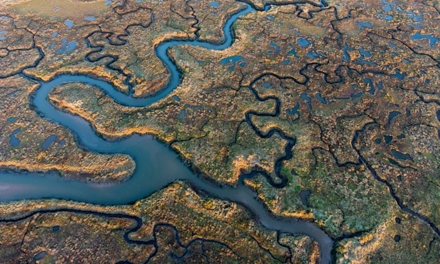 Aerial view of a winding river through a marshland, with intricate patterns of water and vegetation creating a mosaic like landscape.
