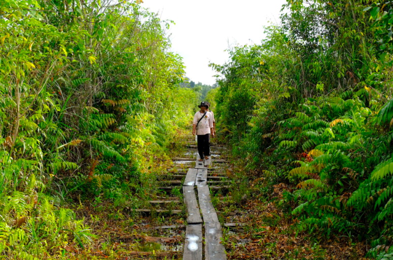 Peatland protection - Rimba Raya, Indonesian Borneo 11