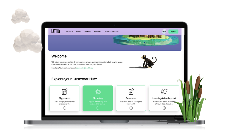 Laptop displaying a website with sections for projects, marketing, resources, and learning, surrounded by decorative plants and clouds.