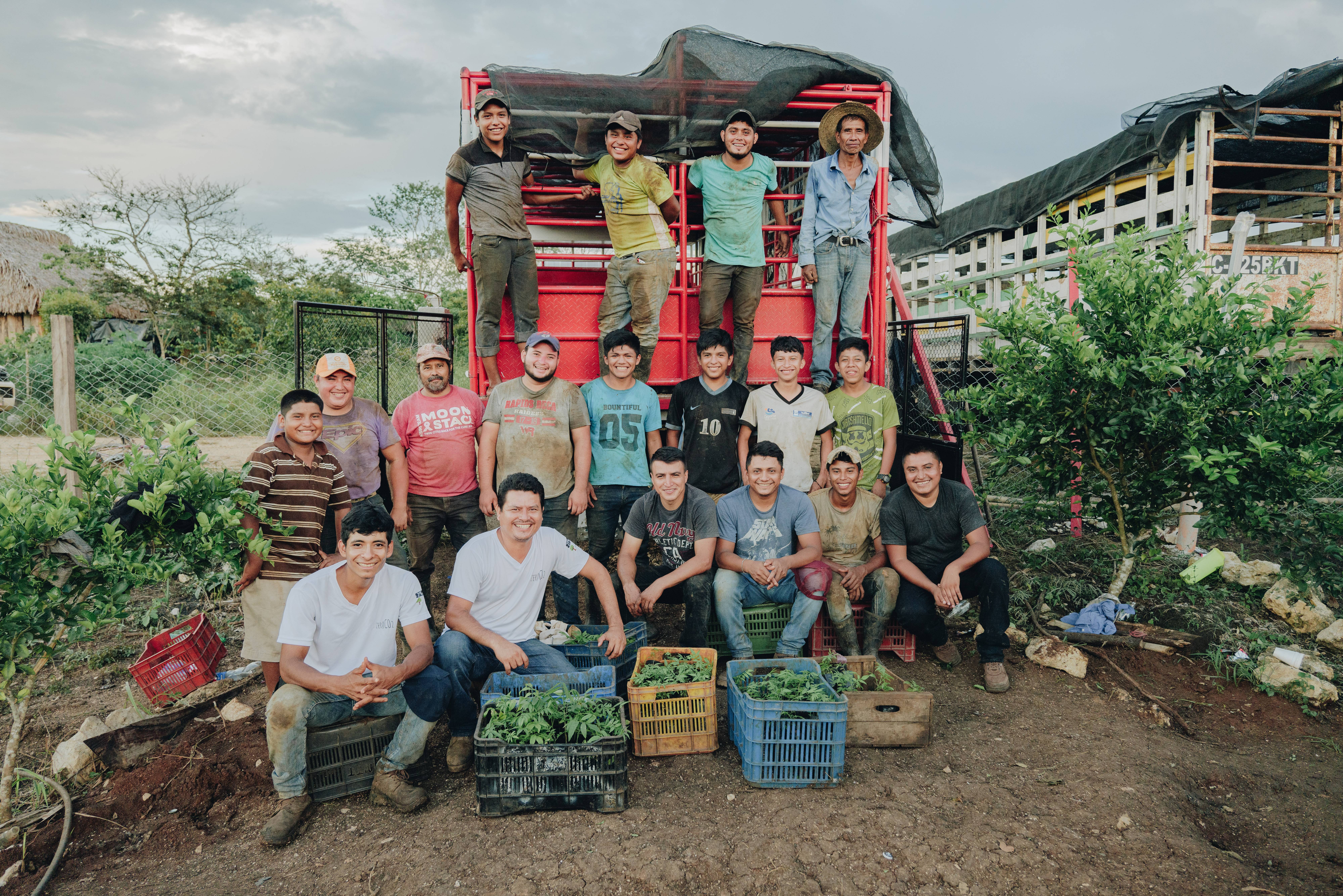 Reforestation - Petén, Guatemala - 3