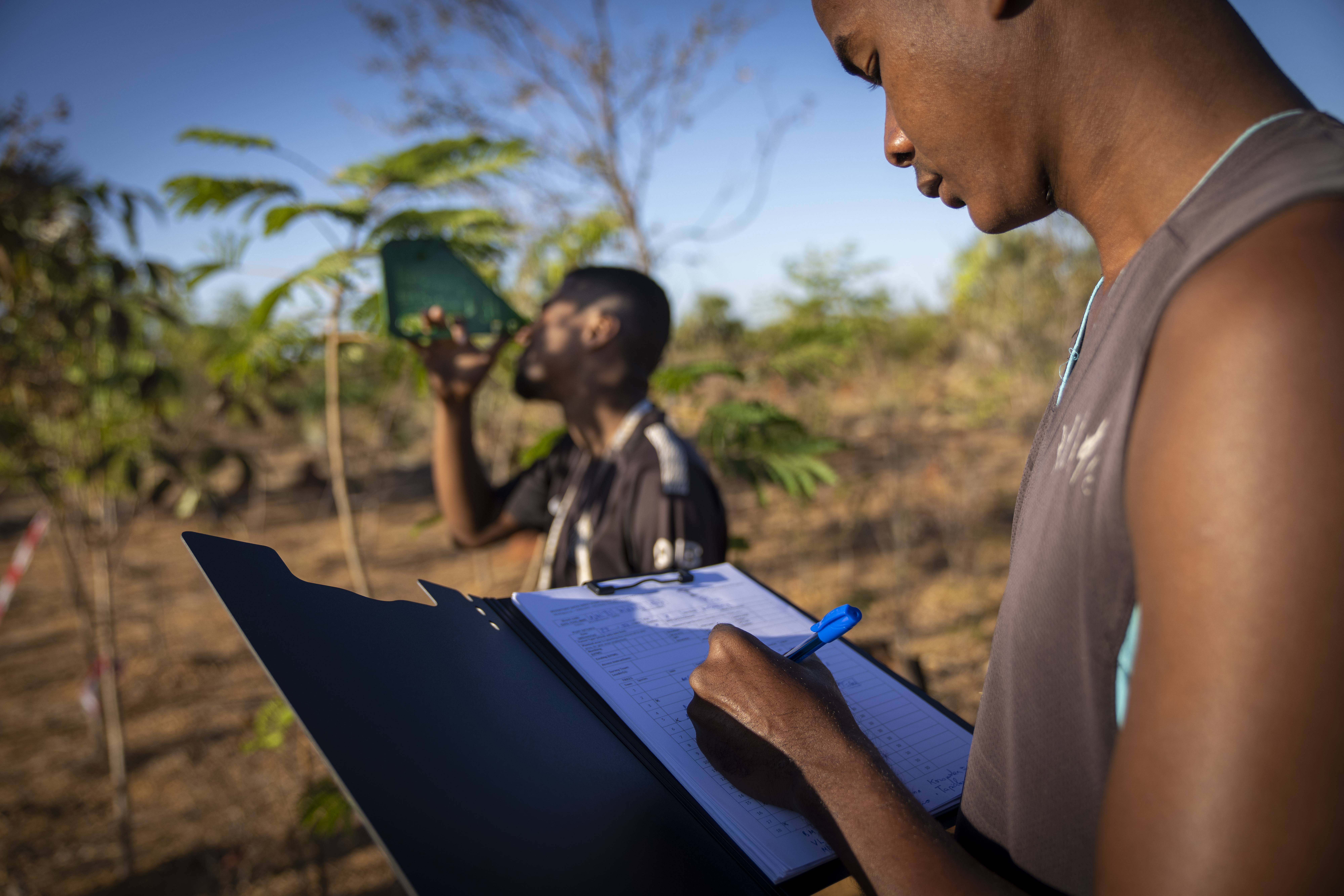 Mangrove Regeneration - Maroalika, Madagascar people recording
