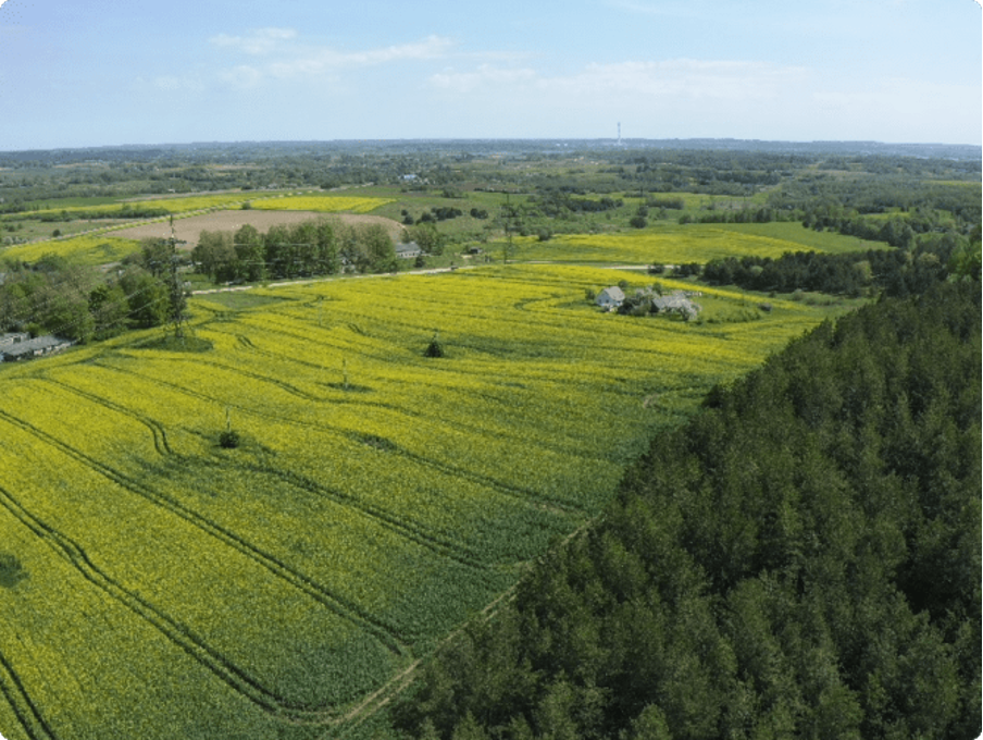 Aerial view of a scenic landscape with yellow fields, scattered trees, and a dense forest under a clear blue sky.