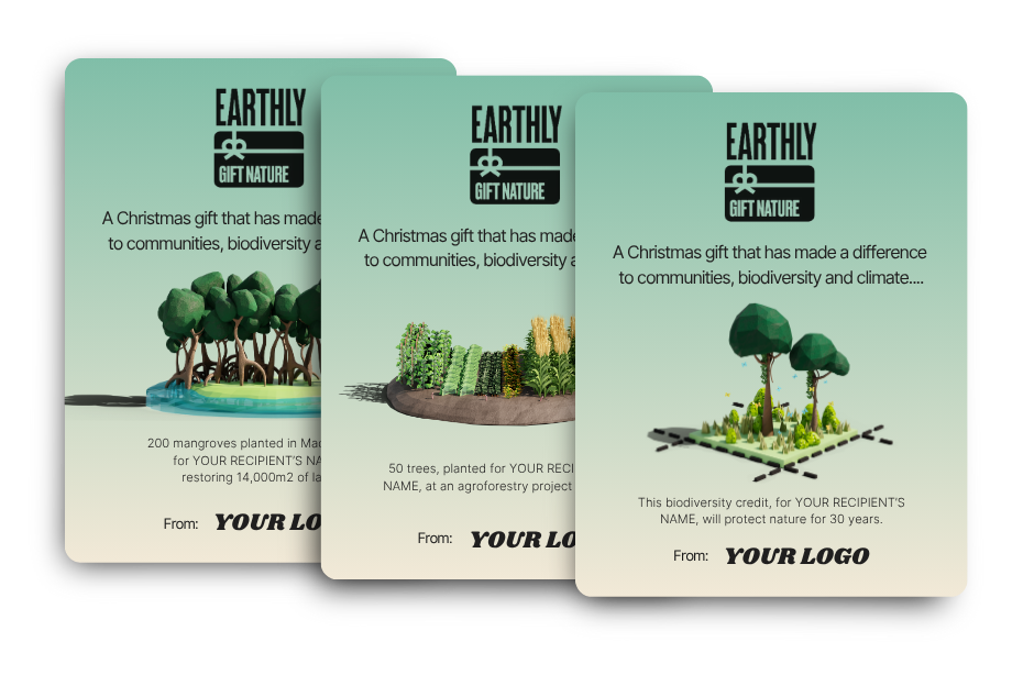 a selection of christmas gift cards for gifting nature project contributions - sustainable christmas gifts for businesses and corporates
