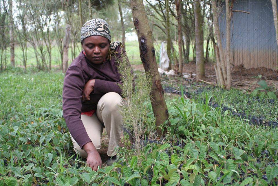 kenya-farmer
