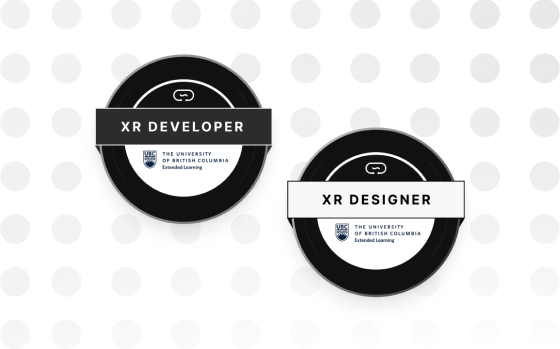 XR courses