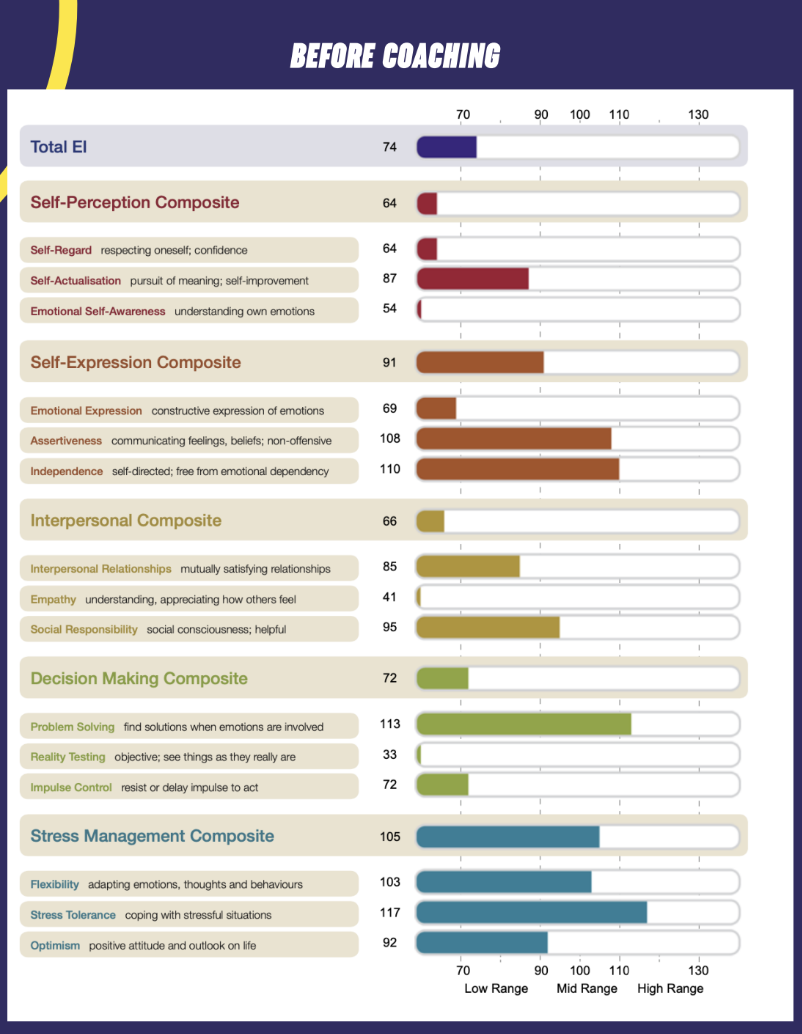 Bar graph titled "Before Coaching" shows scores in emotional intelligence categories like self-perception, stress management, and decision making.