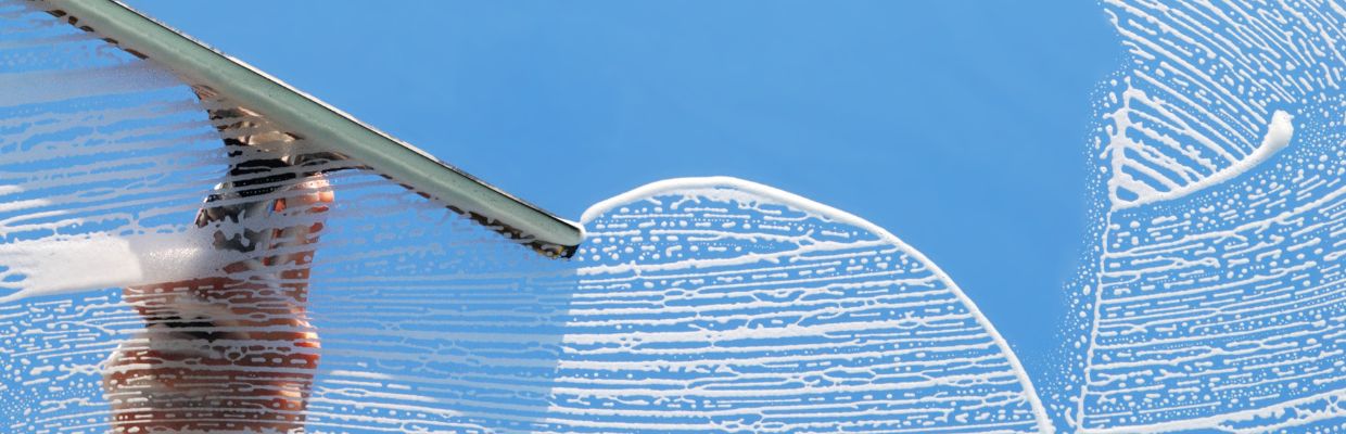 Window Cleaning Business