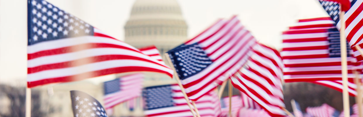 Inauguration Day Supplies