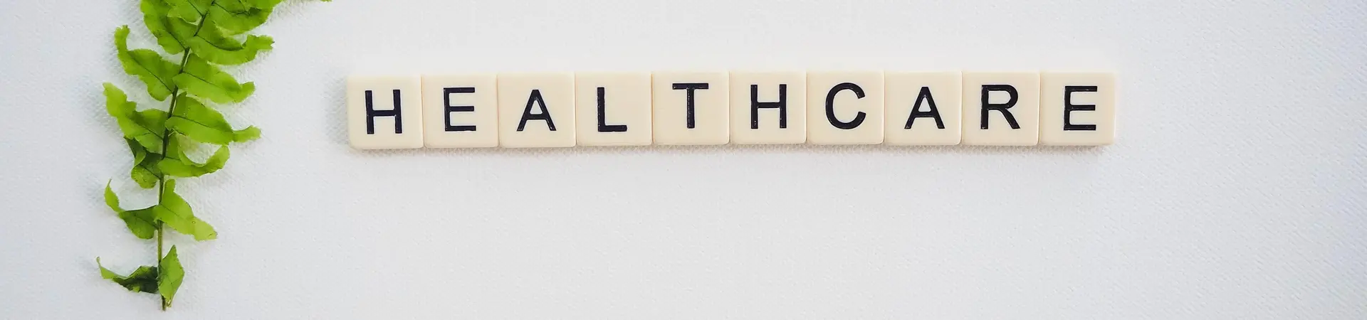 Naast een groene tak liggen letters die het woord healthcare vormen. 
