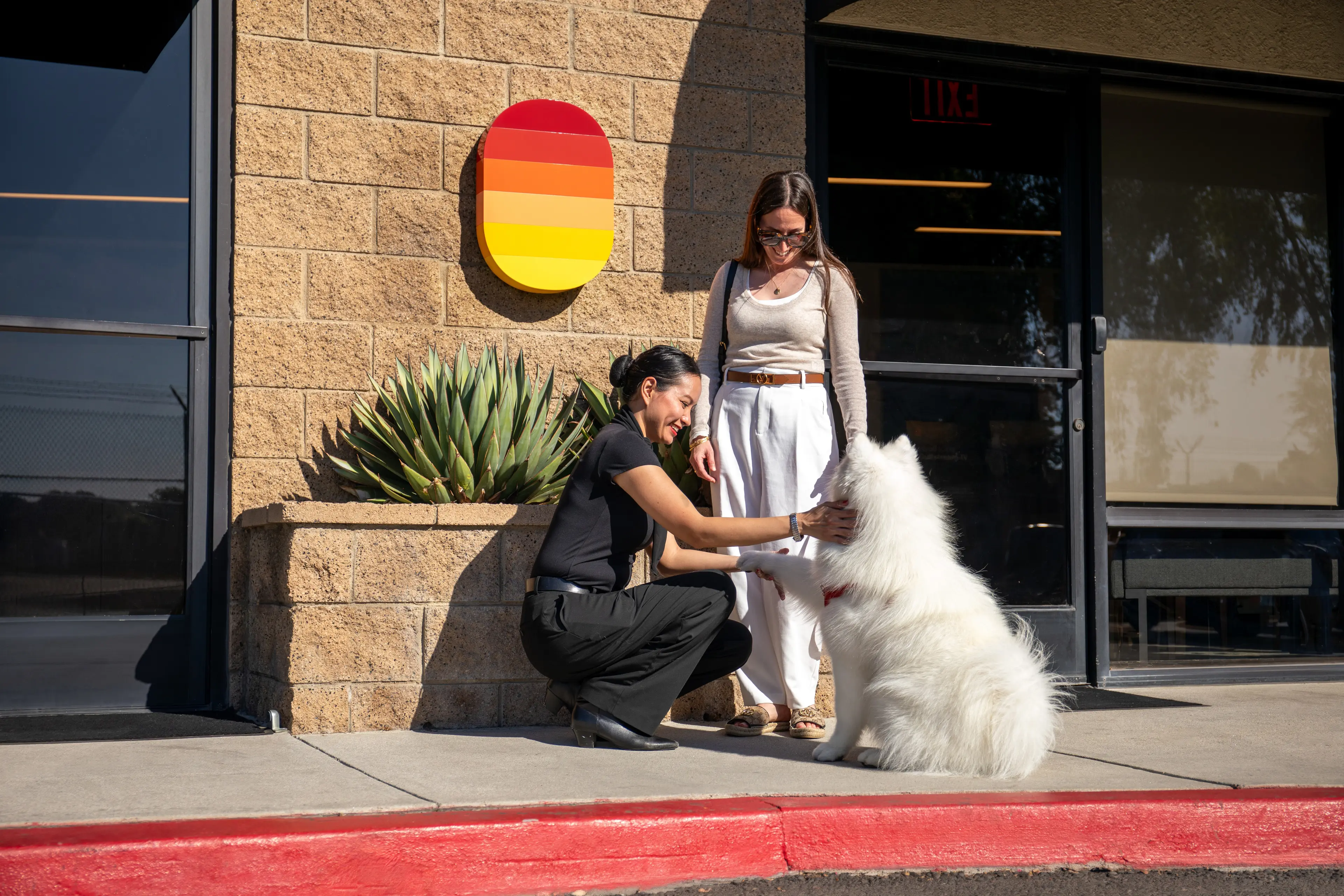 Pet-Friendly Flights on Aero