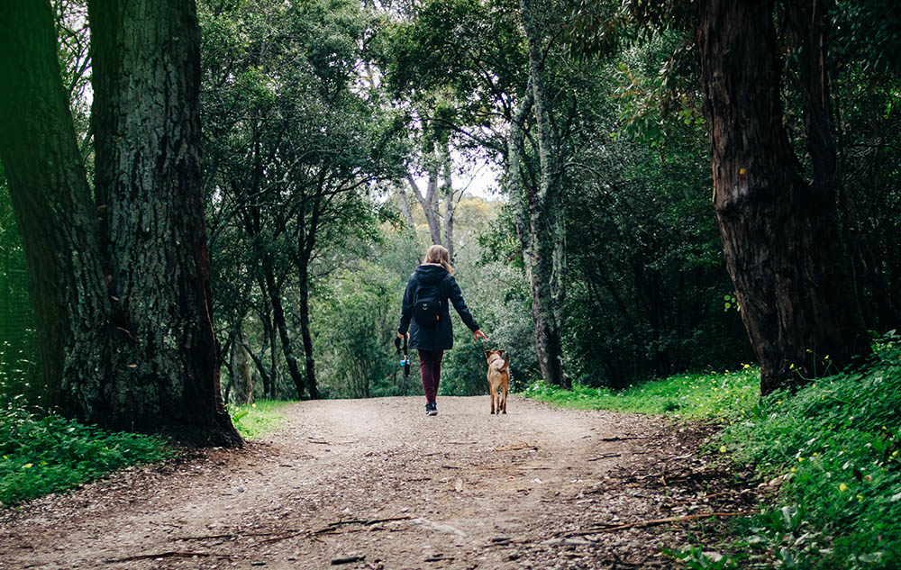 Walking Benefits - Woman Walking With Dog