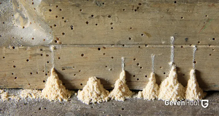 Boormeel bij pinholes
